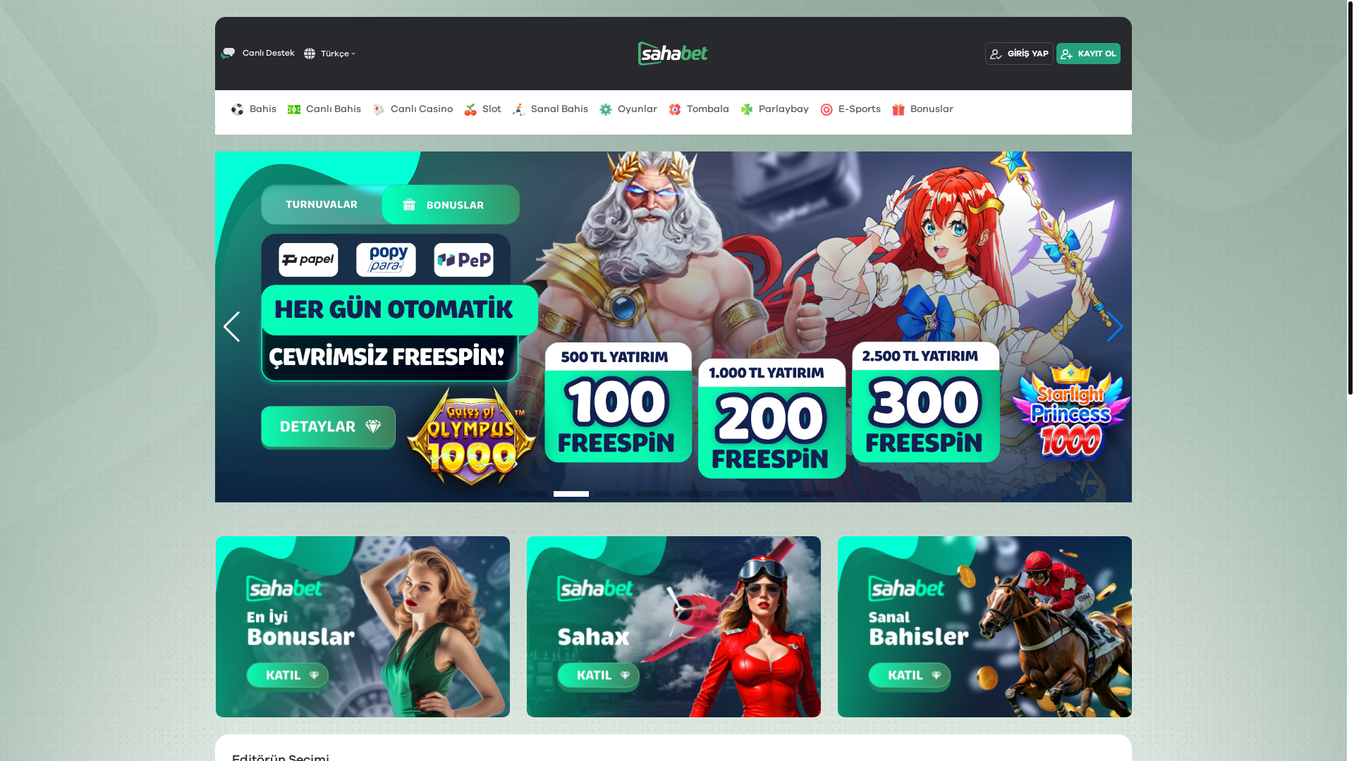website screenshot of https://wwwsahabet1292.com/