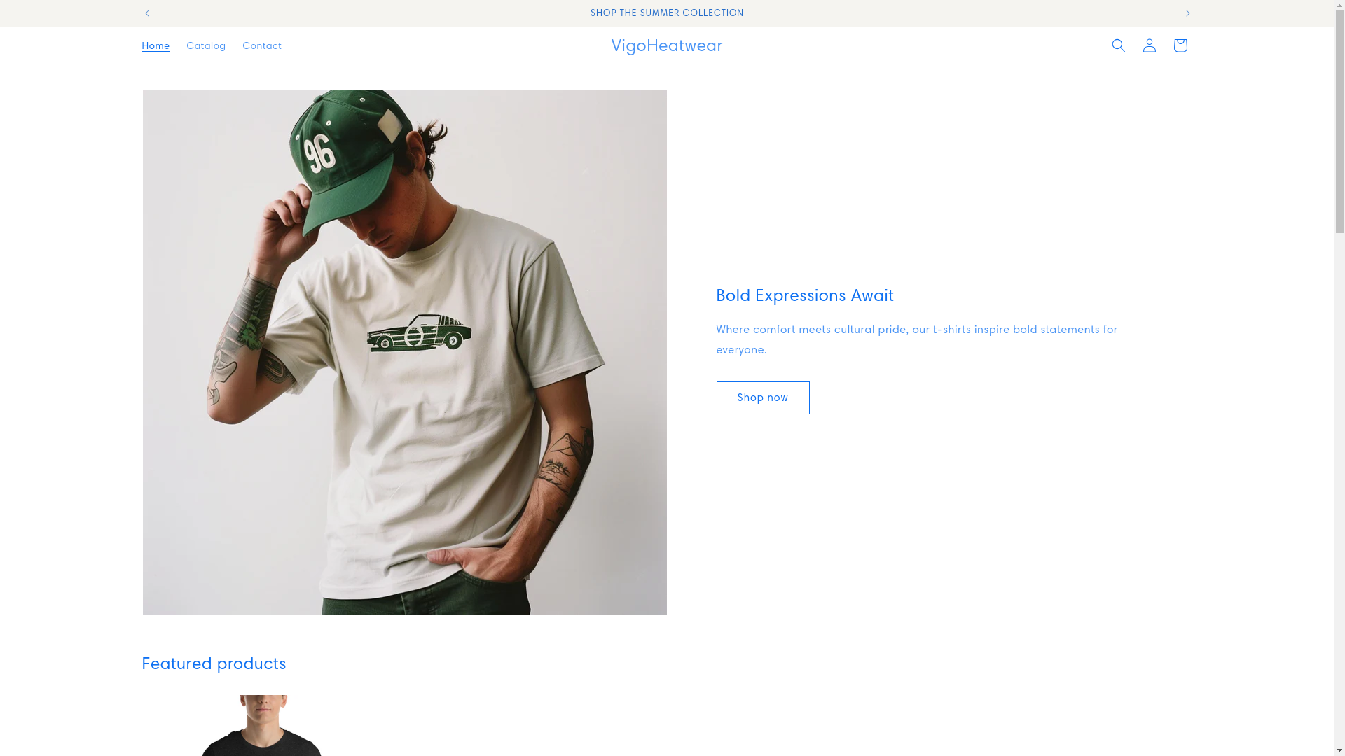 website screenshot of https://vigoheatwear.co/