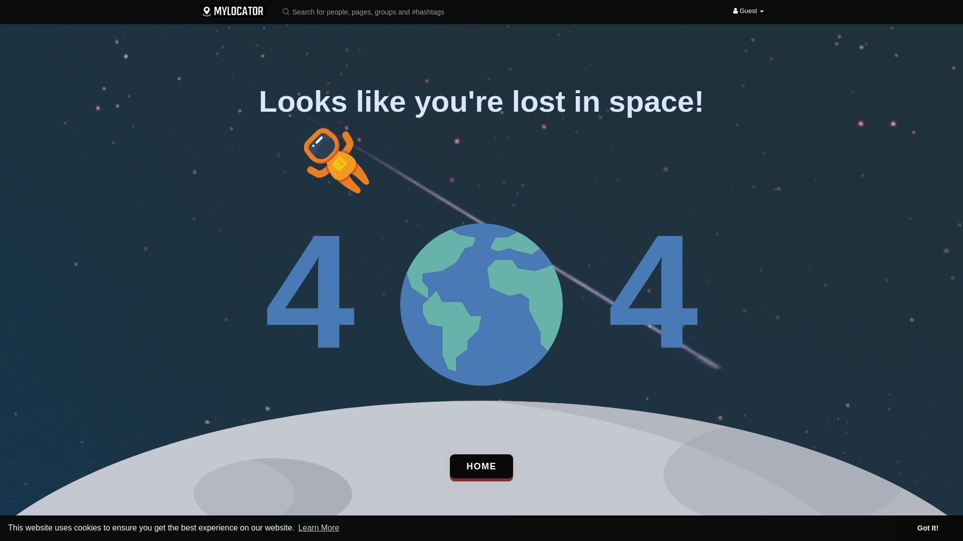 website screenshot of https://reelslocator.com/
