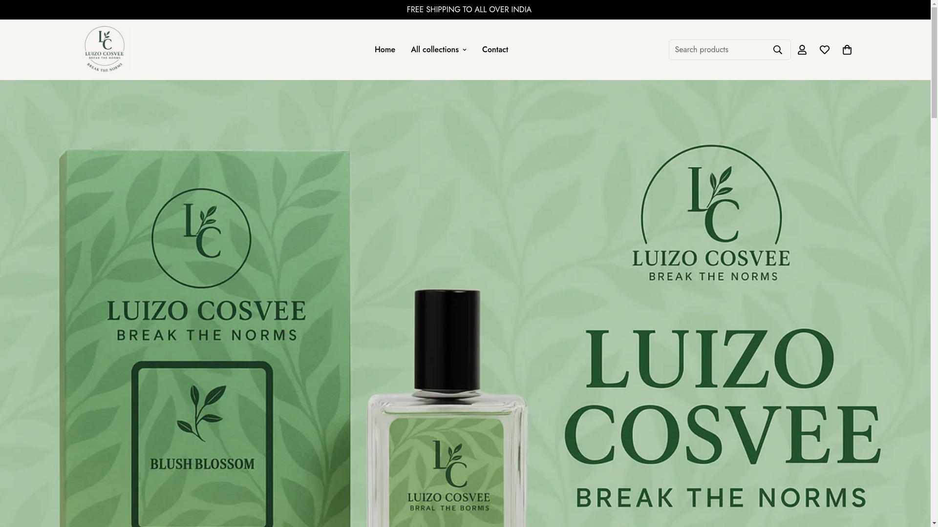 website screenshot of https://luizocosvee.com/