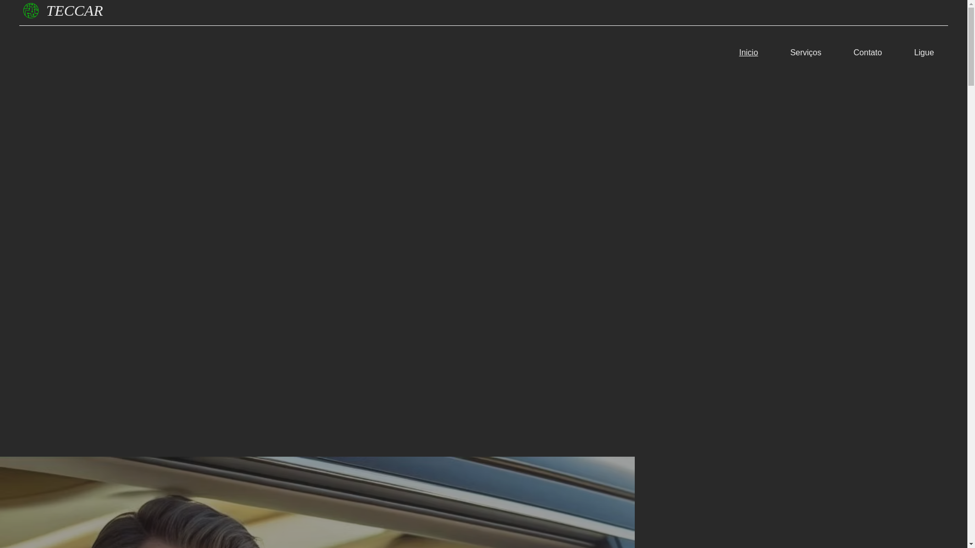 website screenshot of https://teccartecnologiaautomotiva.com/