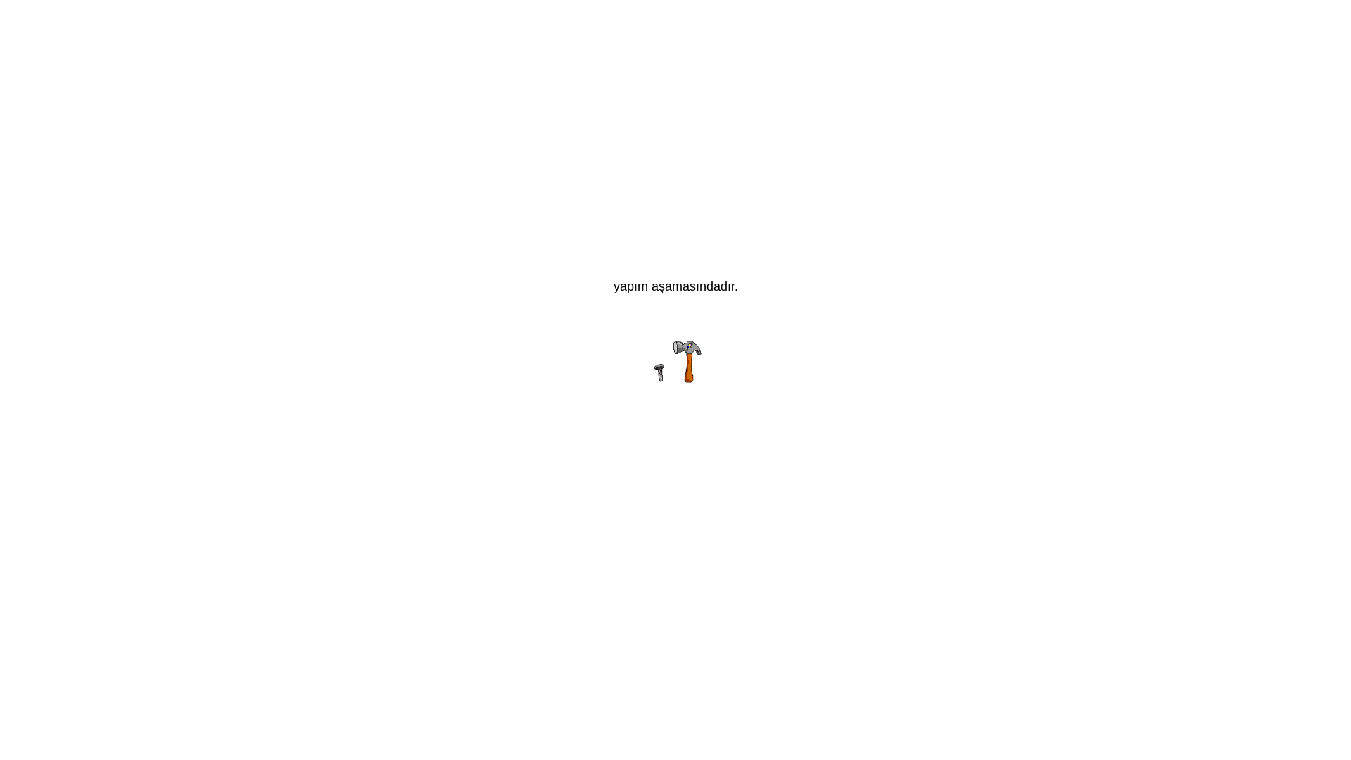 website screenshot of https://fulyaevdeneve.com/