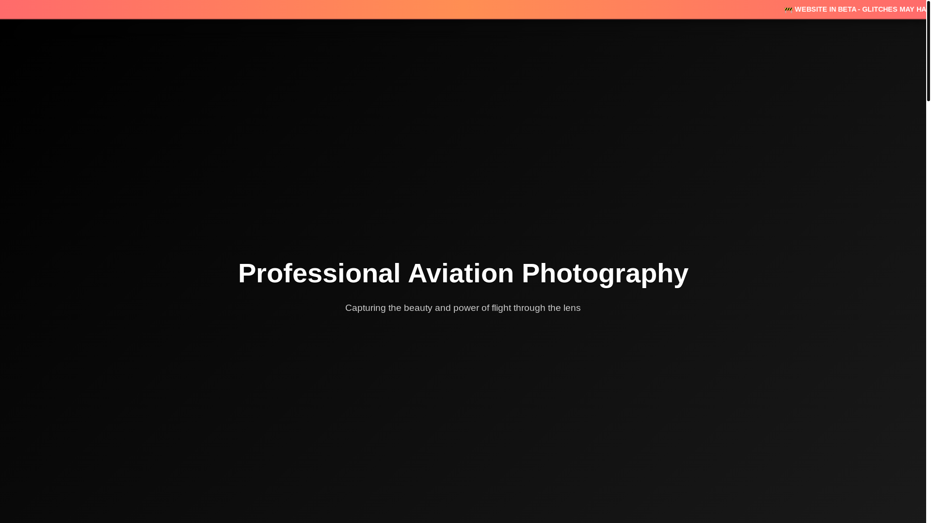 website screenshot of https://ncldaniel.com/