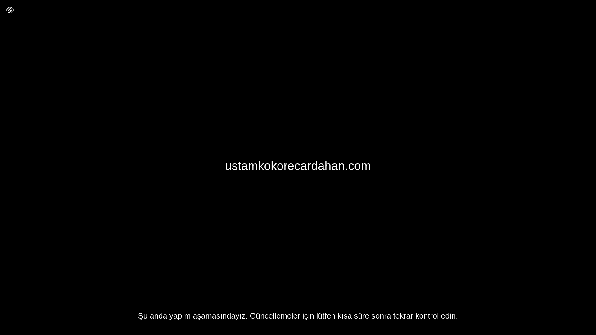website screenshot of https://ustamkokorecardahan.com/