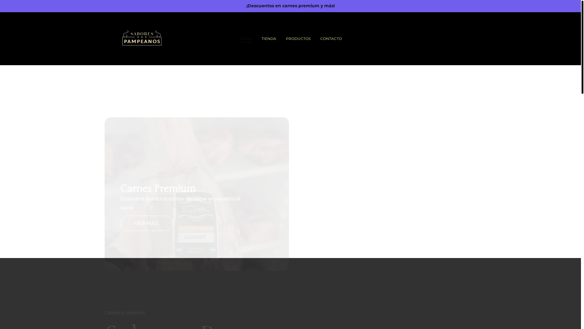 website screenshot of https://saborespampeanos.pro/