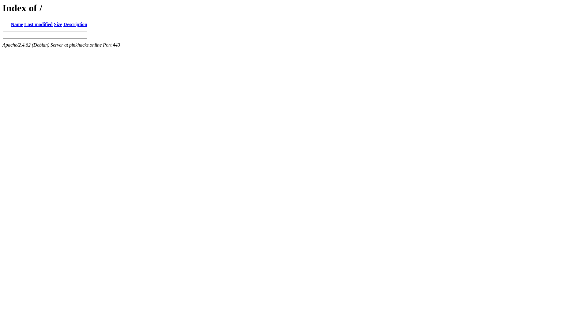 website screenshot of https://pinkhacks.online/