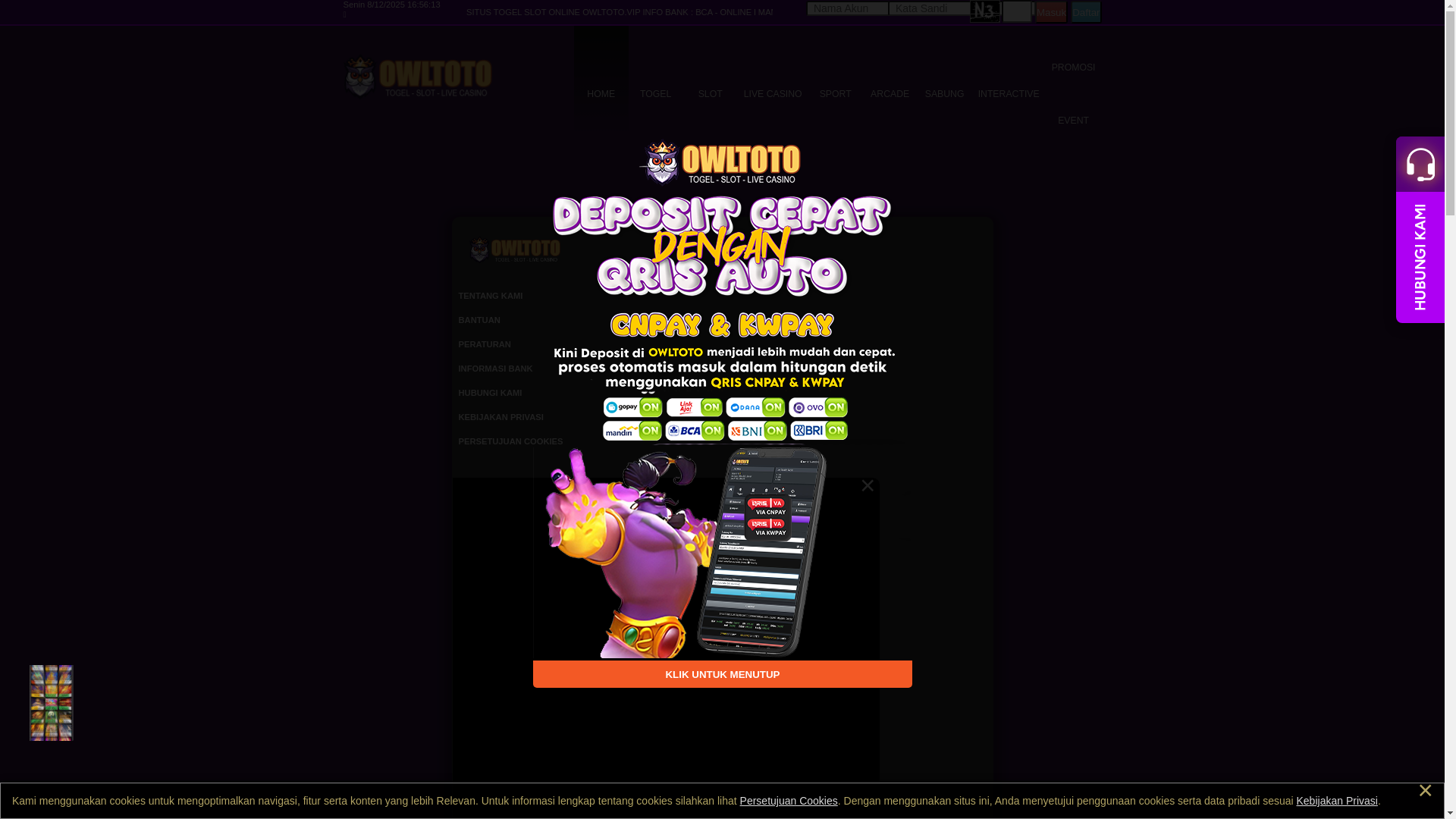 website screenshot of https://owltotoasik2.site/