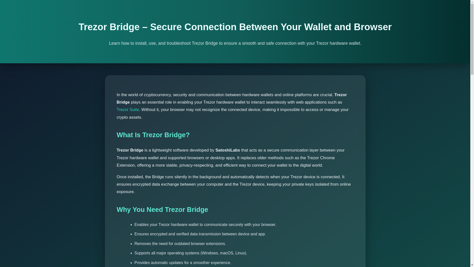 website screenshot of https://connect-bridge-trezi.pages.dev/