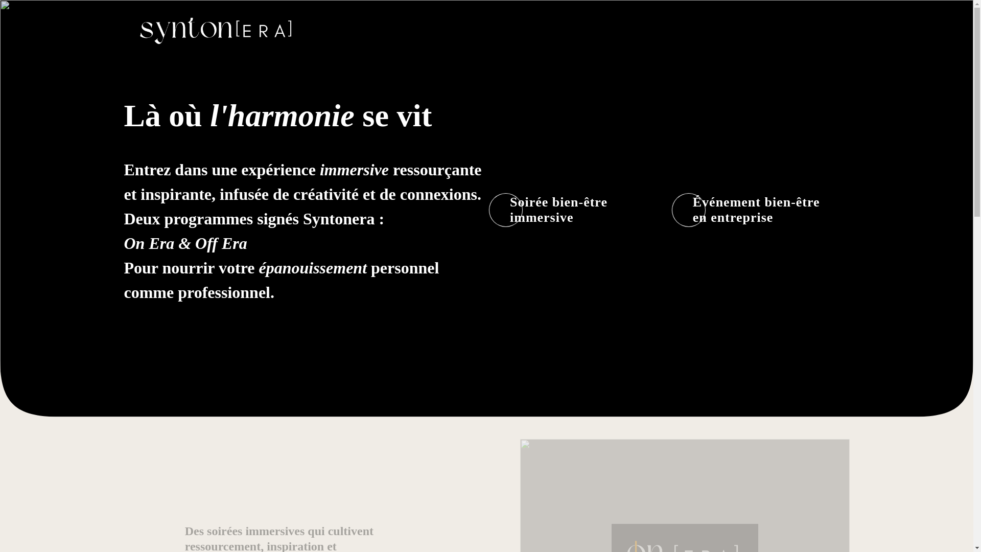 website screenshot of https://syntonera.fr/