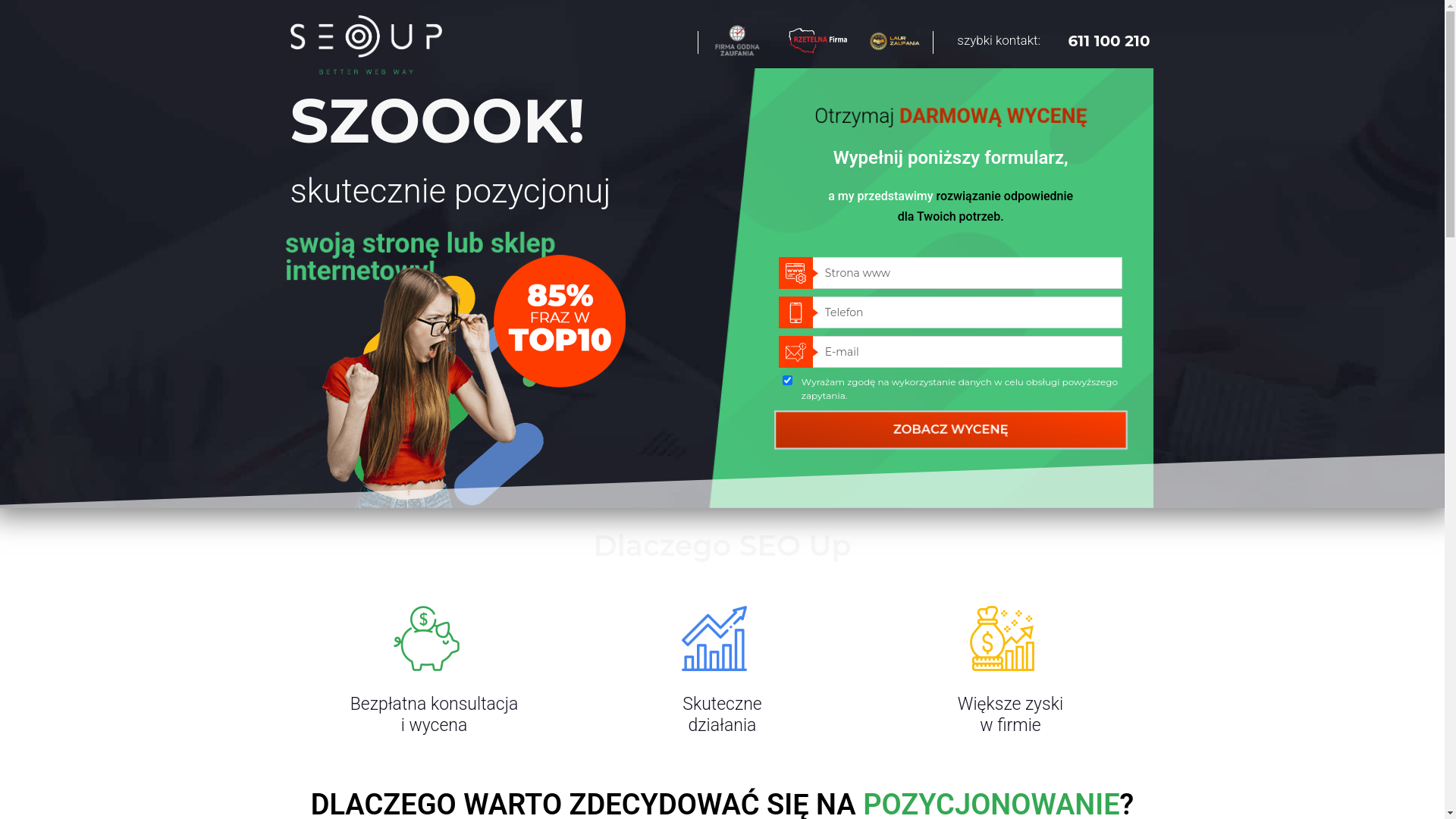 website screenshot of https://wynikiseolokalnych.pl/