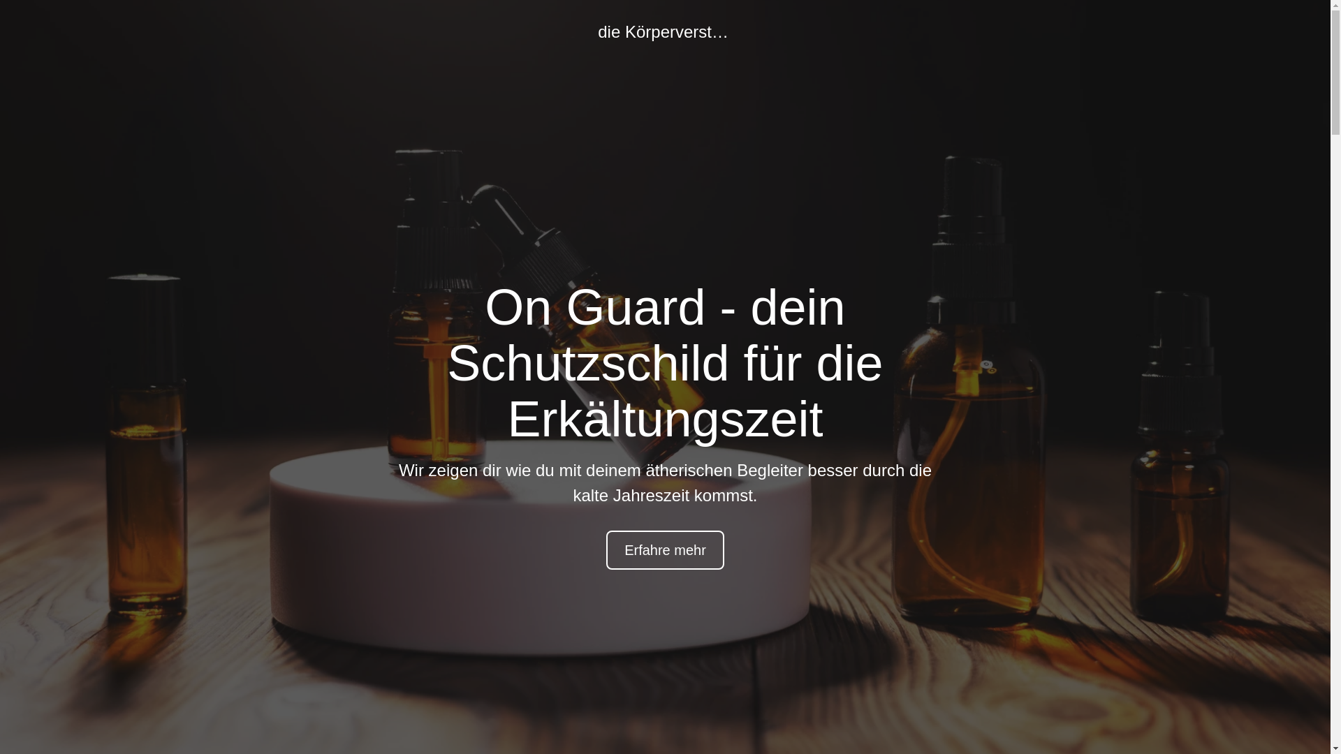 website screenshot of https://topdiekorperversteher.com/