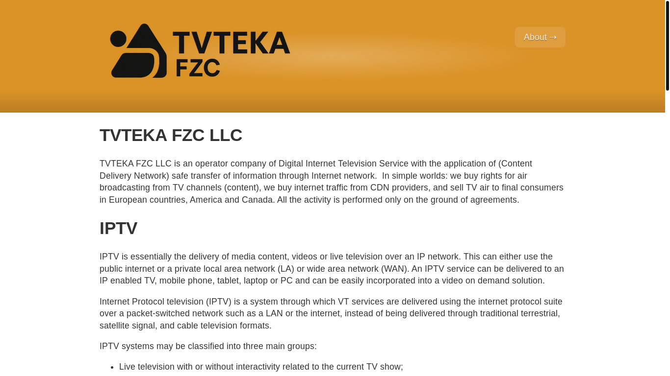 website screenshot of https://tvtekafzcllc.com/