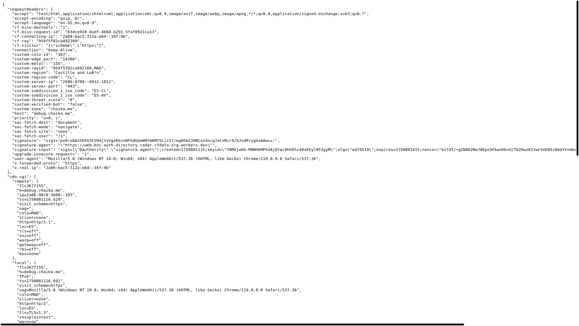 website screenshot of https://debug.chaika.me/