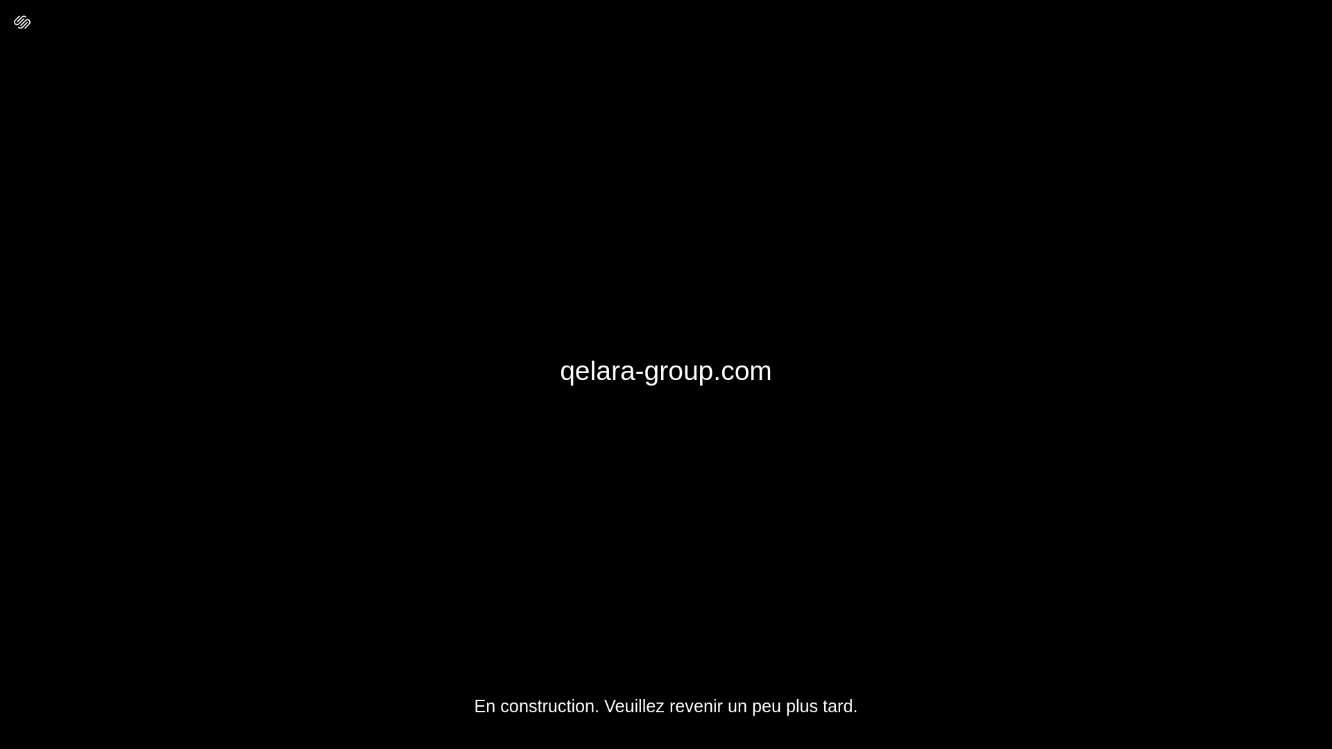 website screenshot of https://qelara-group.com/