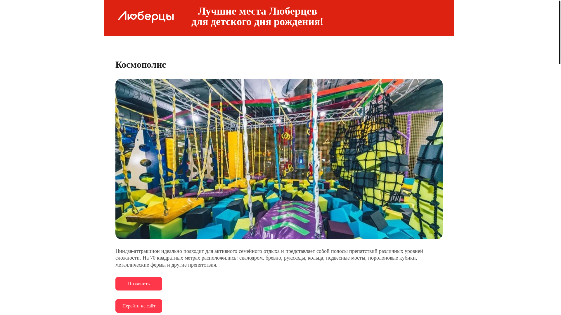 website screenshot of https://detskij-prazdnik-lyubercy.ru/