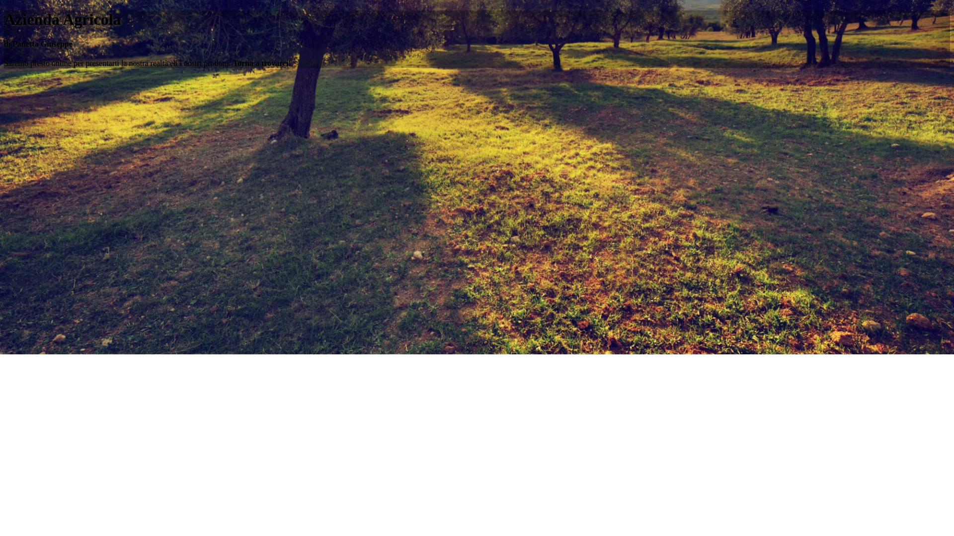 website screenshot of https://aziendapanettagiuseppe.it/