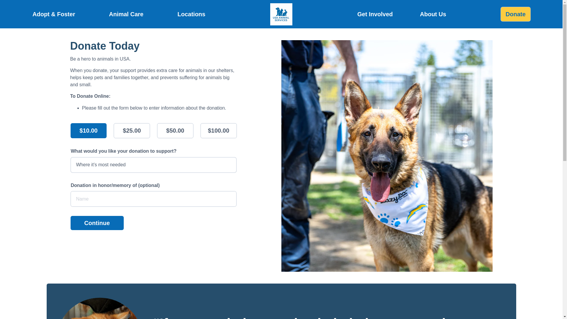 website screenshot of https://rigbyland.com/