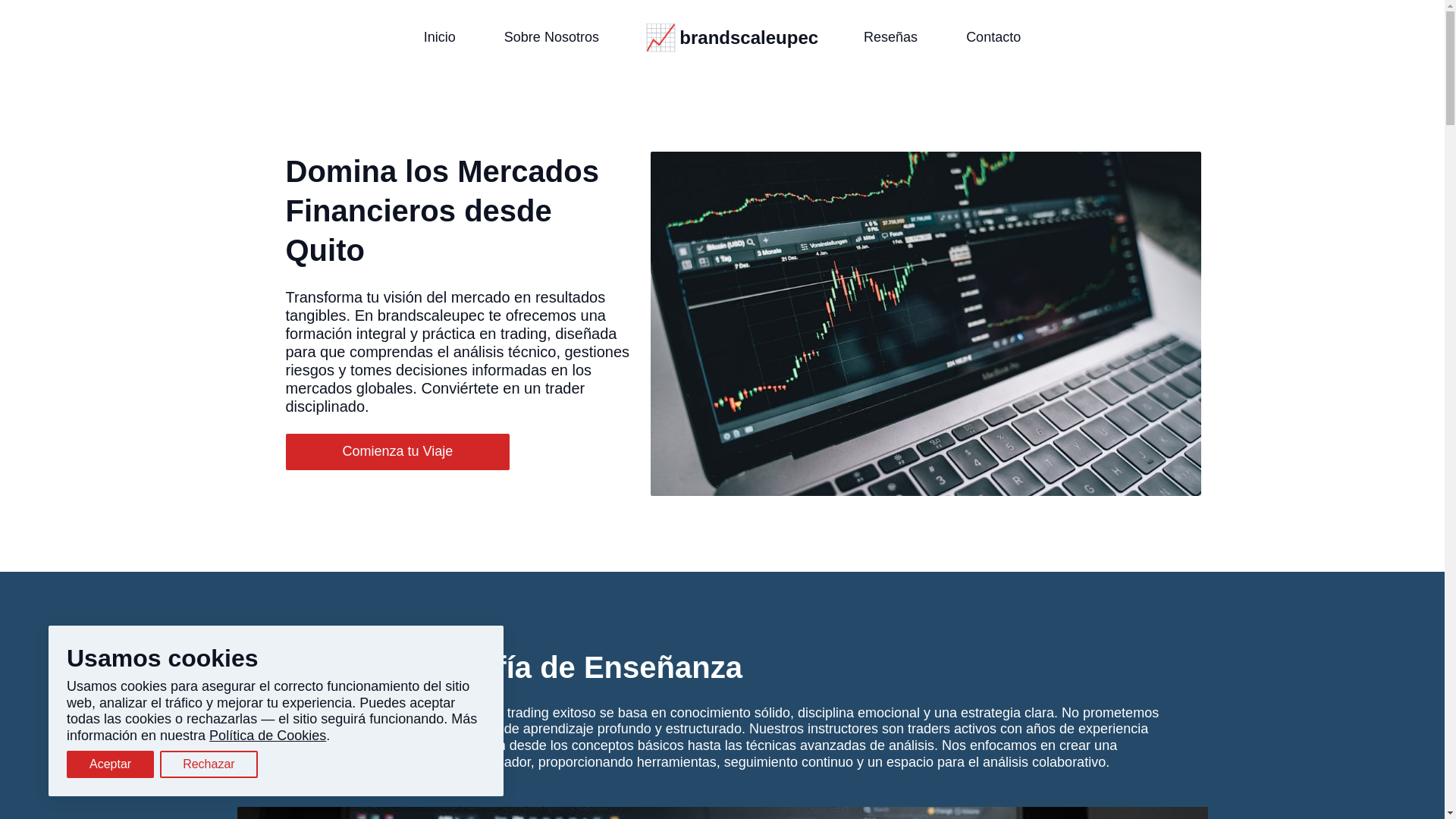 website screenshot of https://brandscaleupec.com/