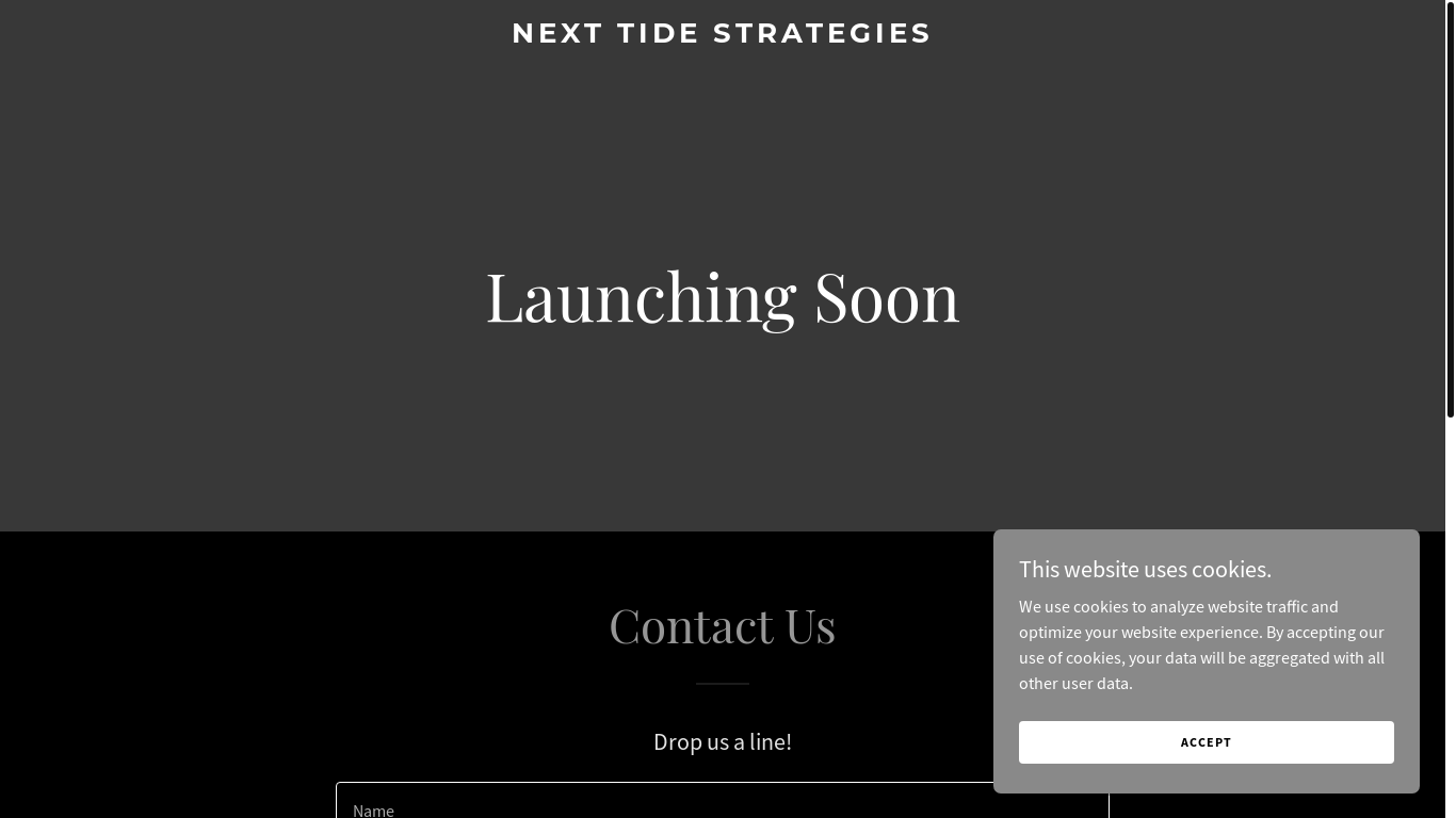 website screenshot of https://nexttidestrategies.com/