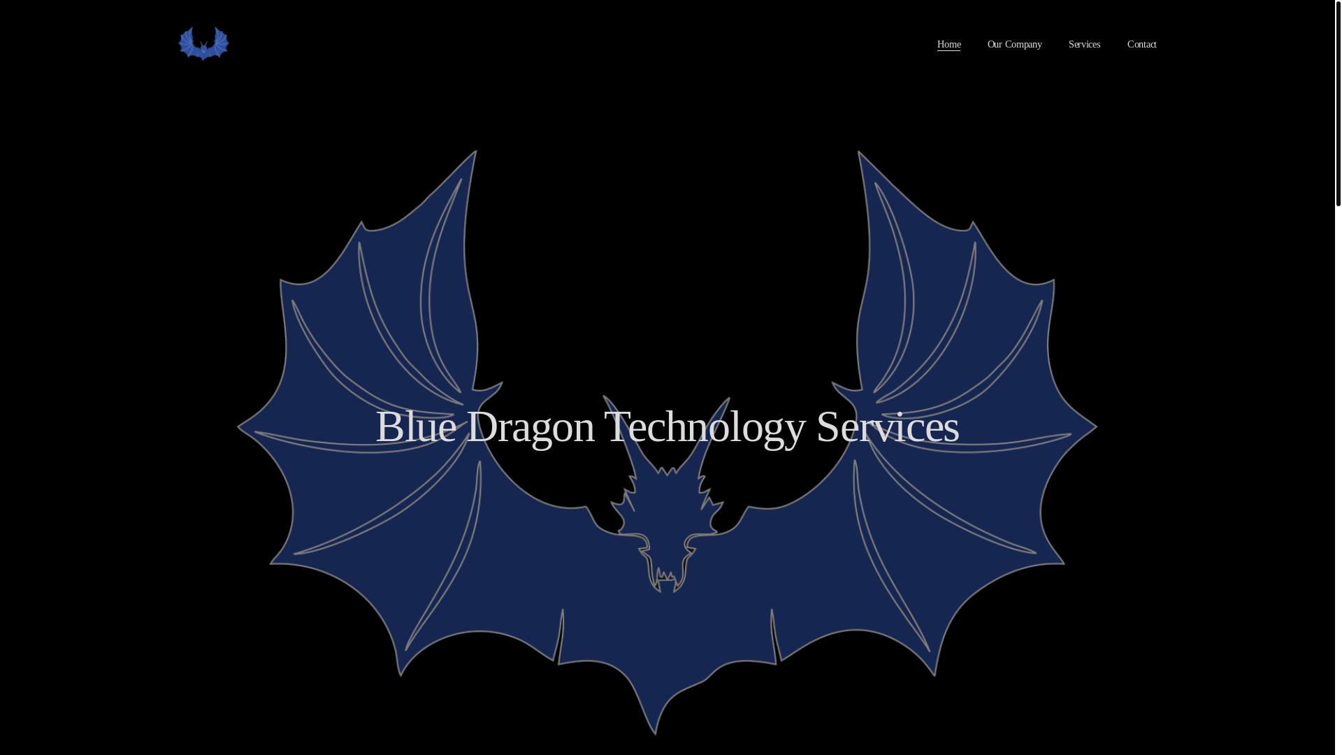 website screenshot of https://bluedragontechsvcs.com/