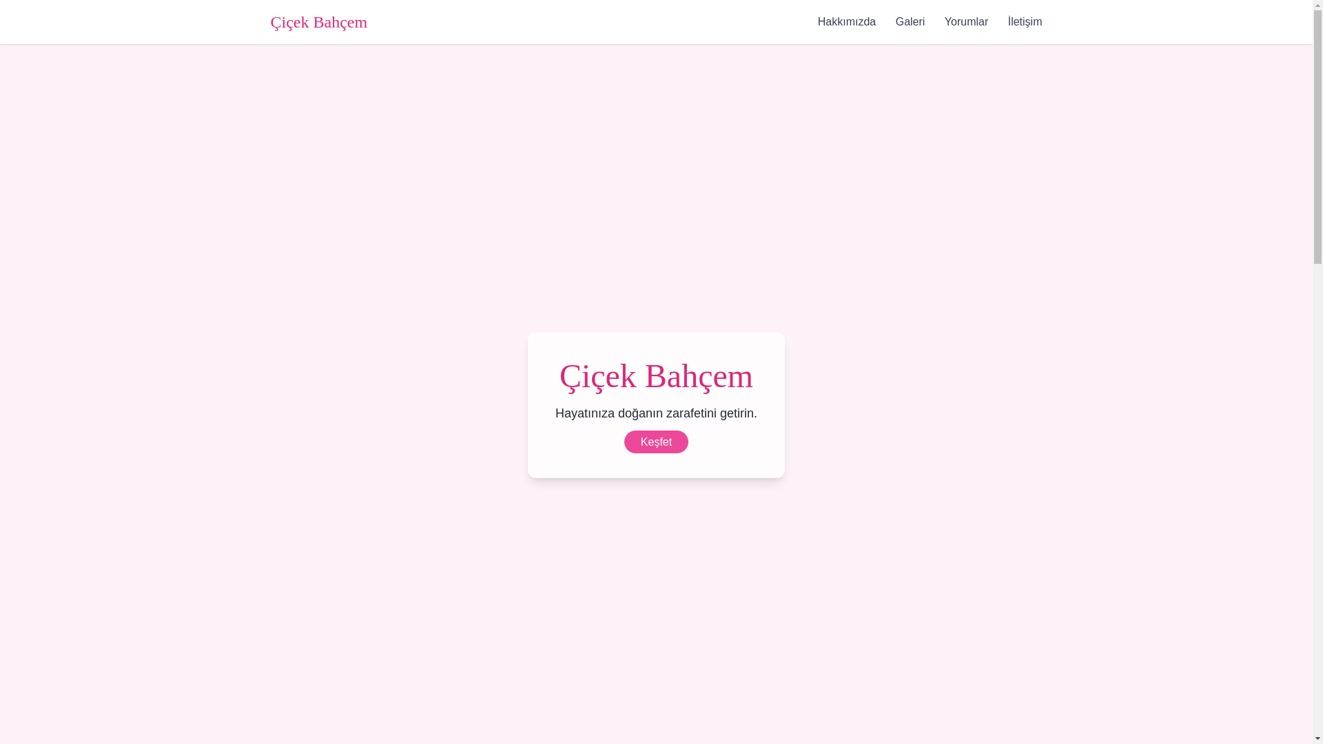 website screenshot of https://cicekdostum.com/