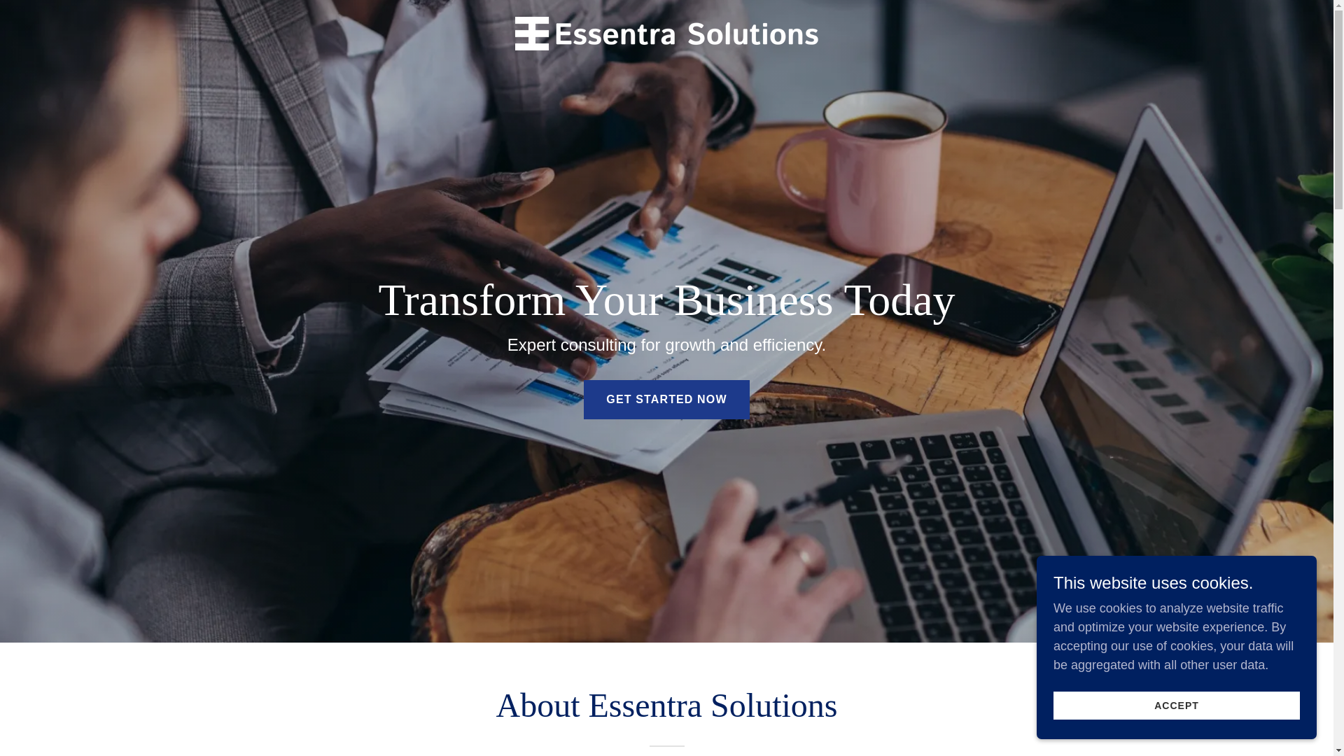 website screenshot of https://essentraconsulting.com/