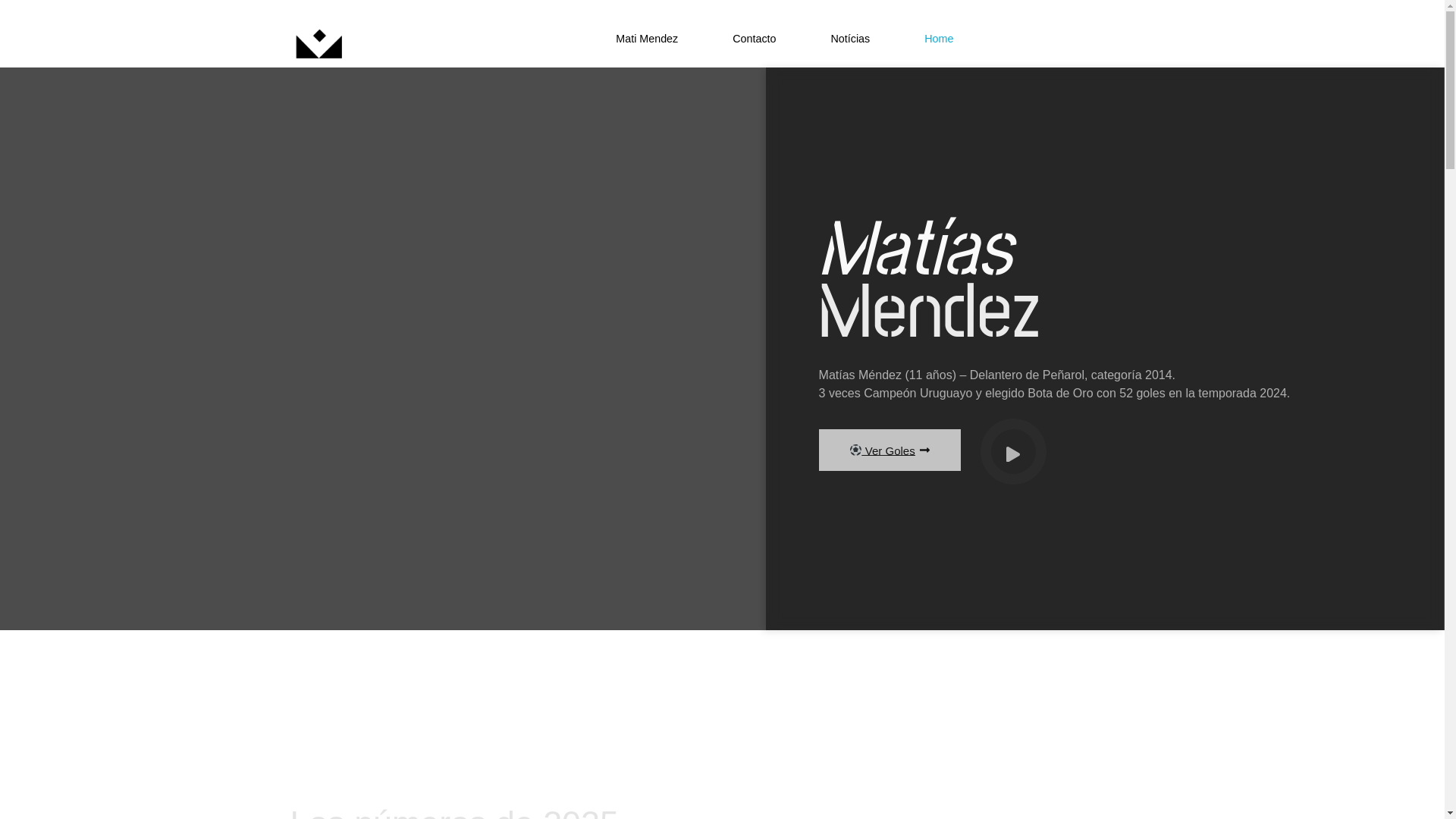 website screenshot of https://elmatiasmendez.com/