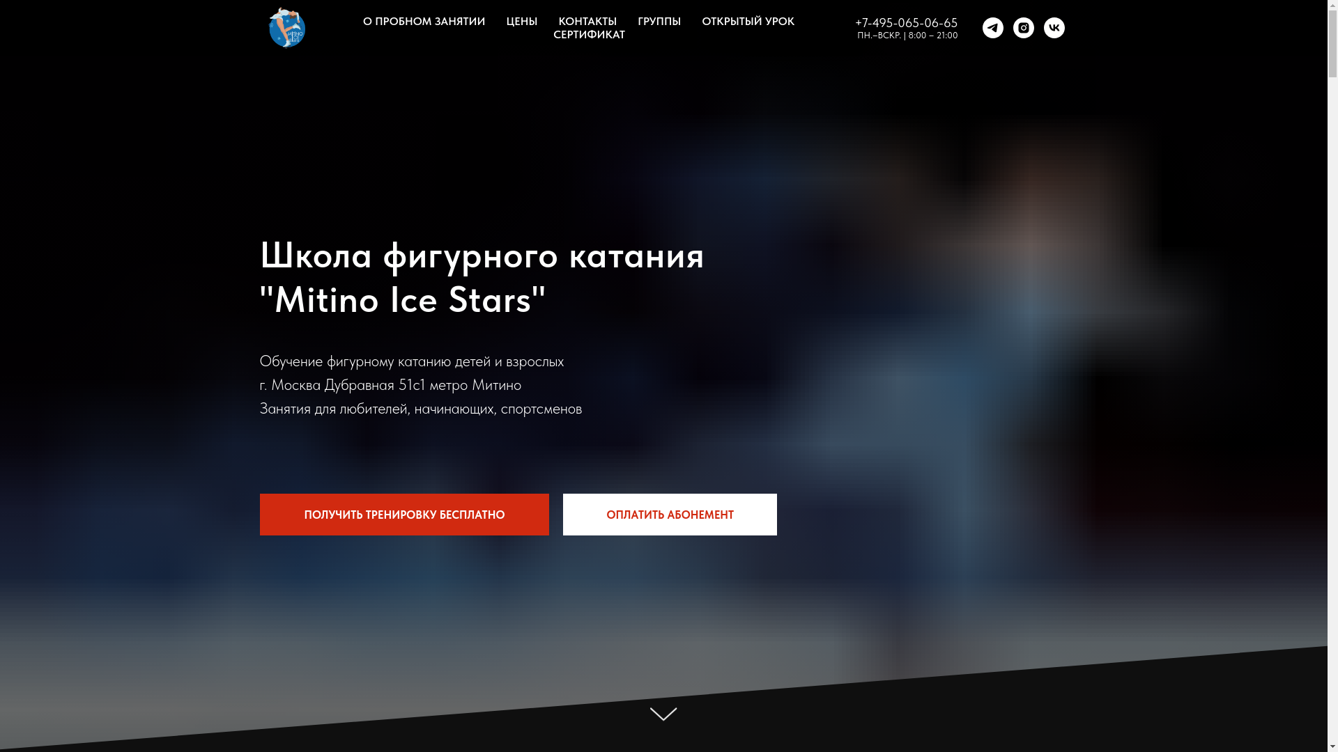 website screenshot of https://mitinoicestars.ru/