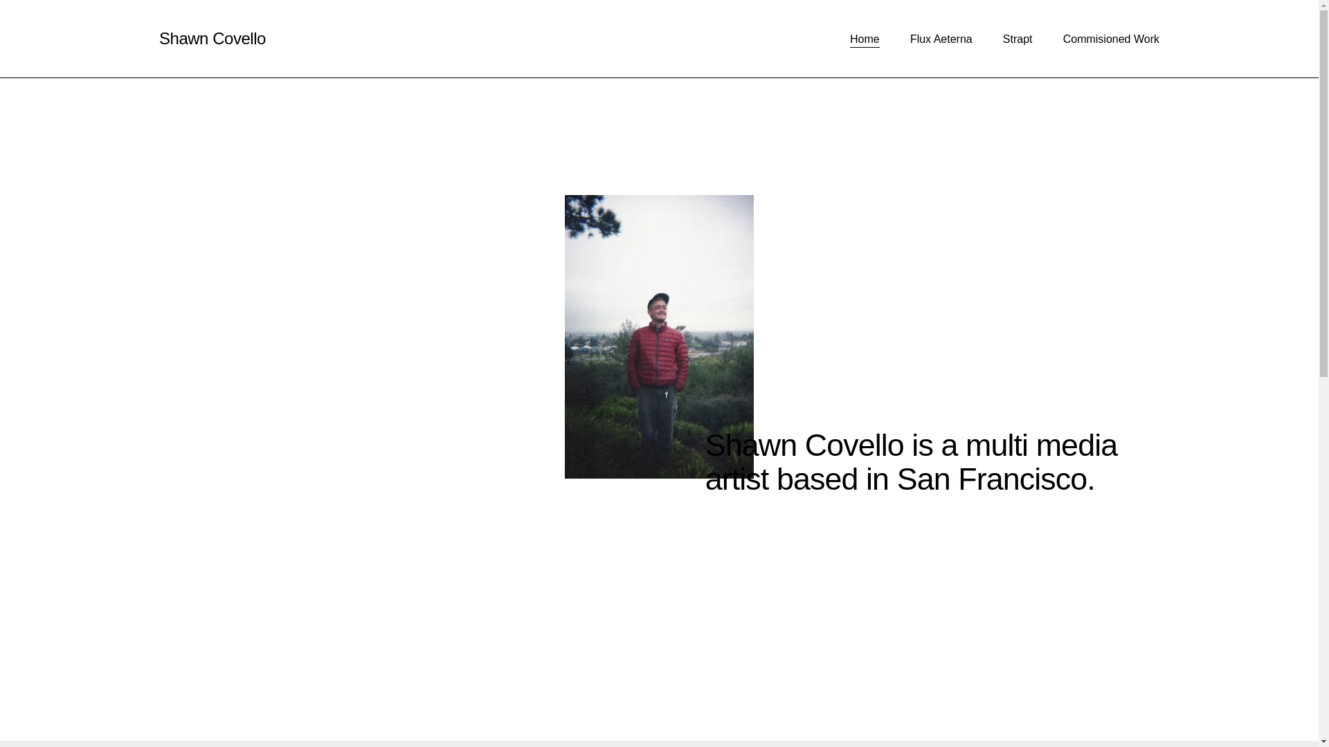 website screenshot of https://shawncovello.com/