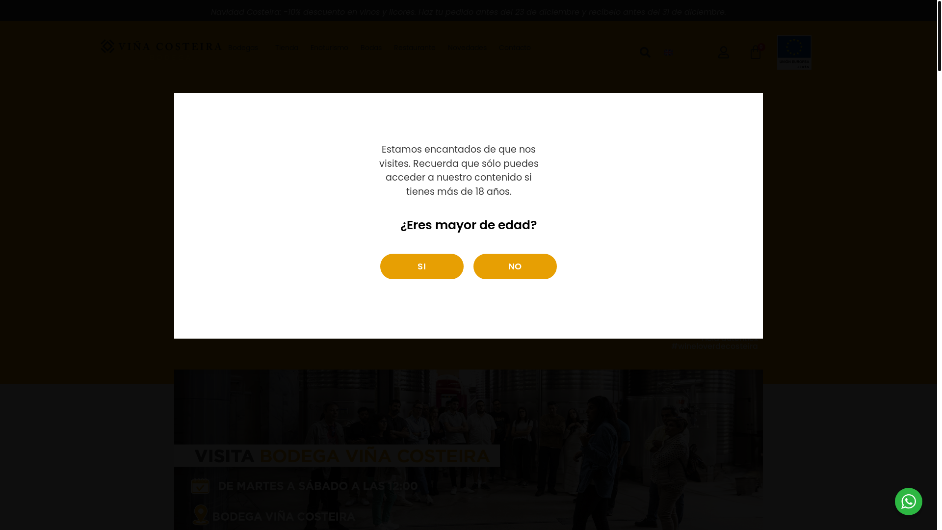 website screenshot of https://costeira.es