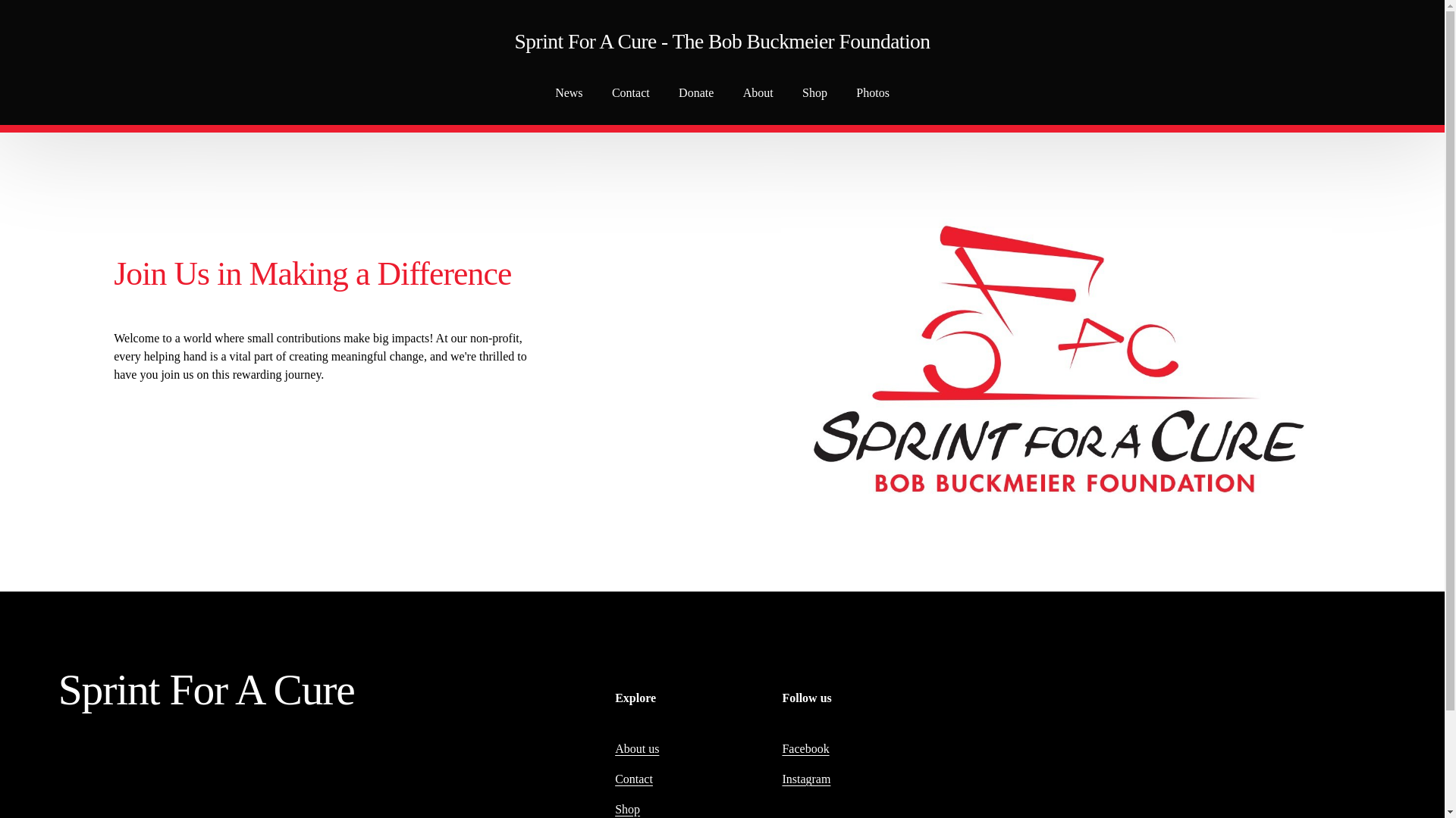 website screenshot of https://sprintforacure-thebobbuckmeierfoundation.org/