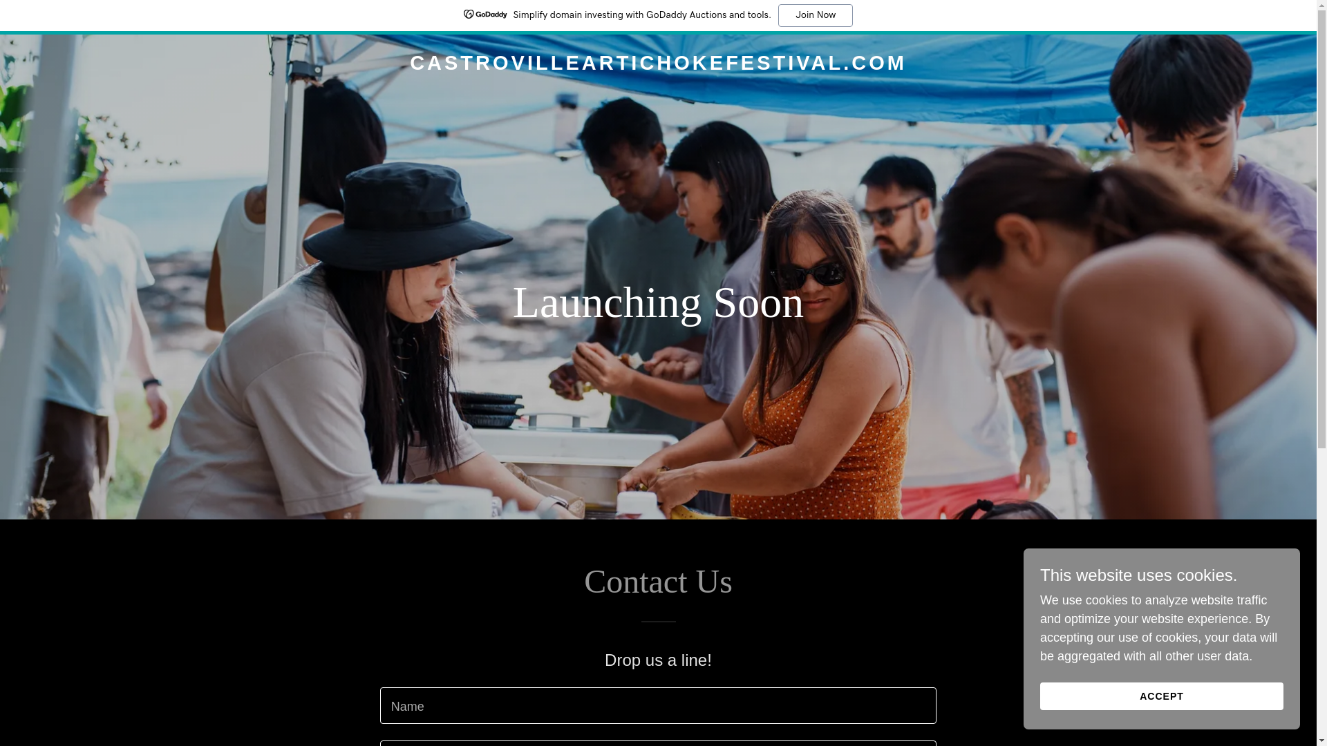 website screenshot of https://castrovilleartichokefestival.com/