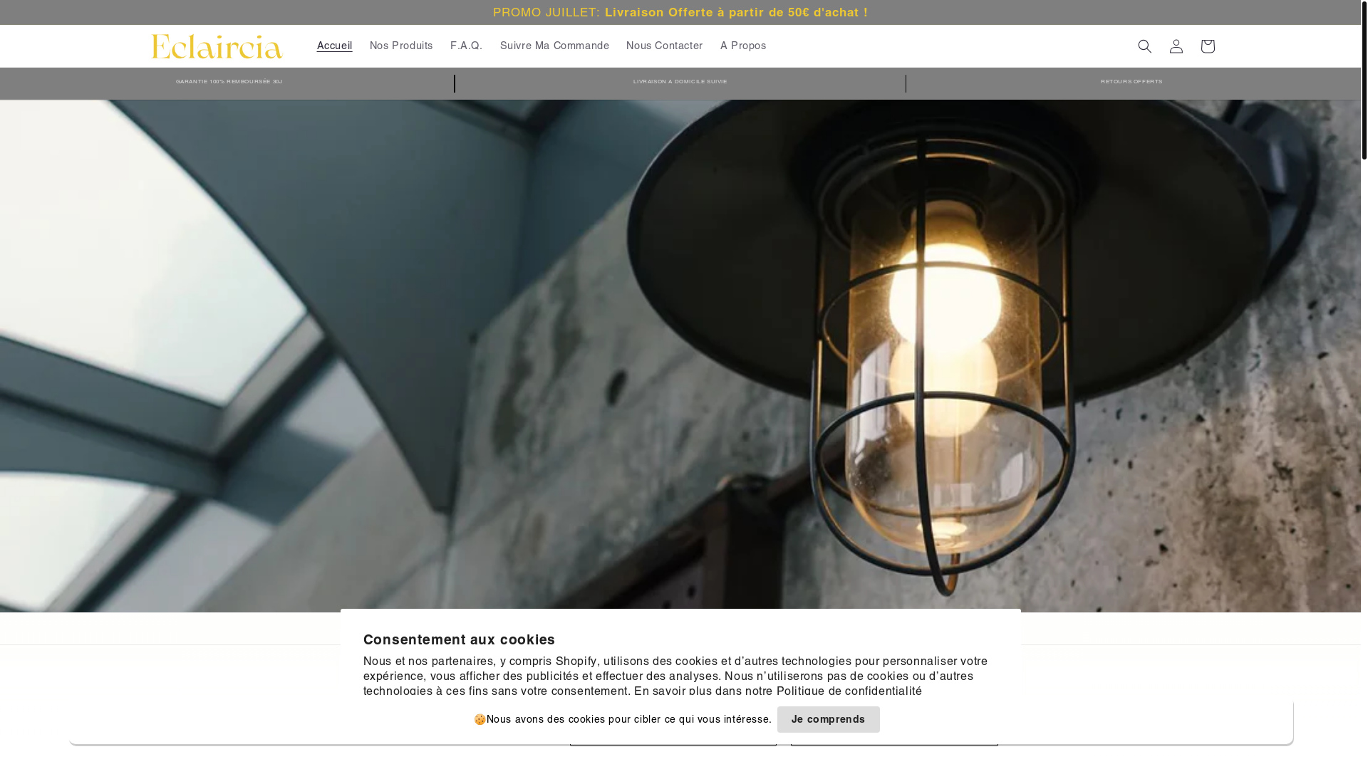 website screenshot of https://nomadepack.com/