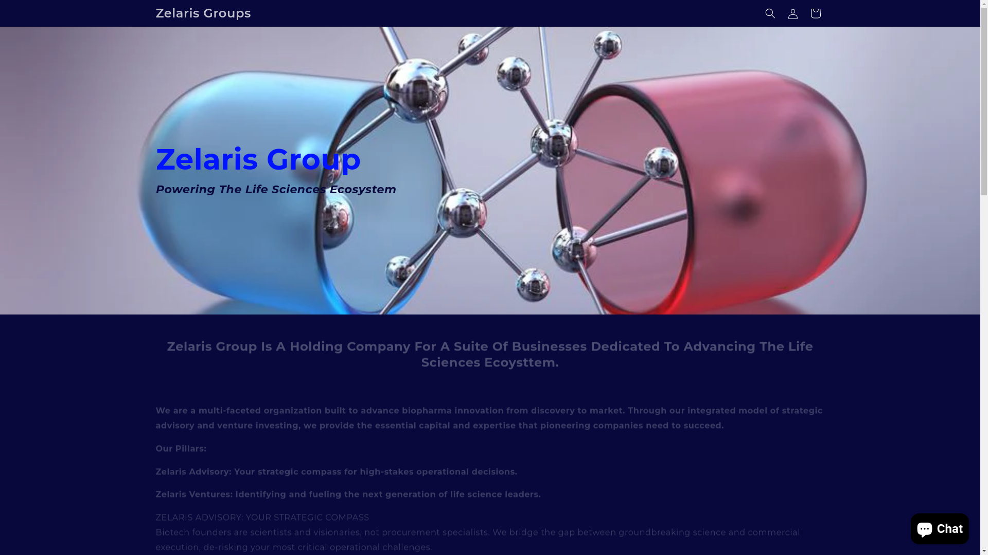 website screenshot of https://zelarisgroup.com/