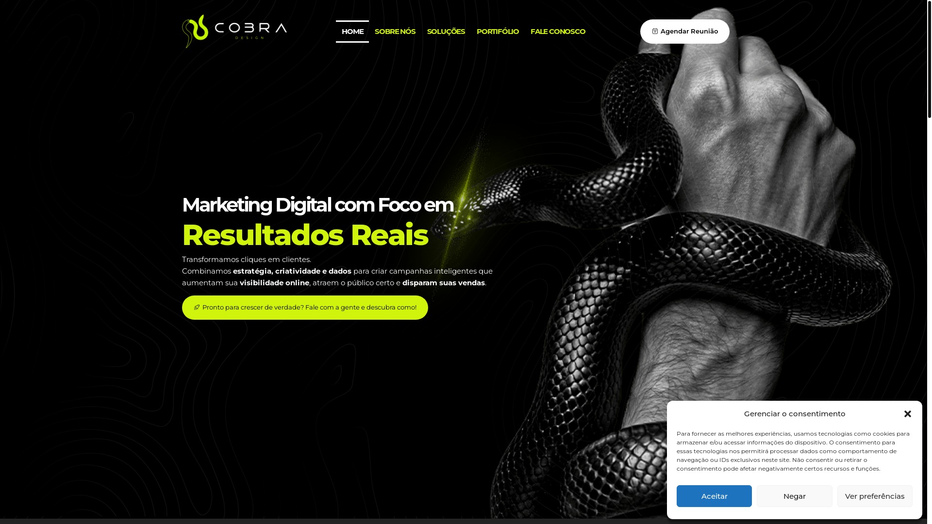 website screenshot of https://viniconcept.com.br/