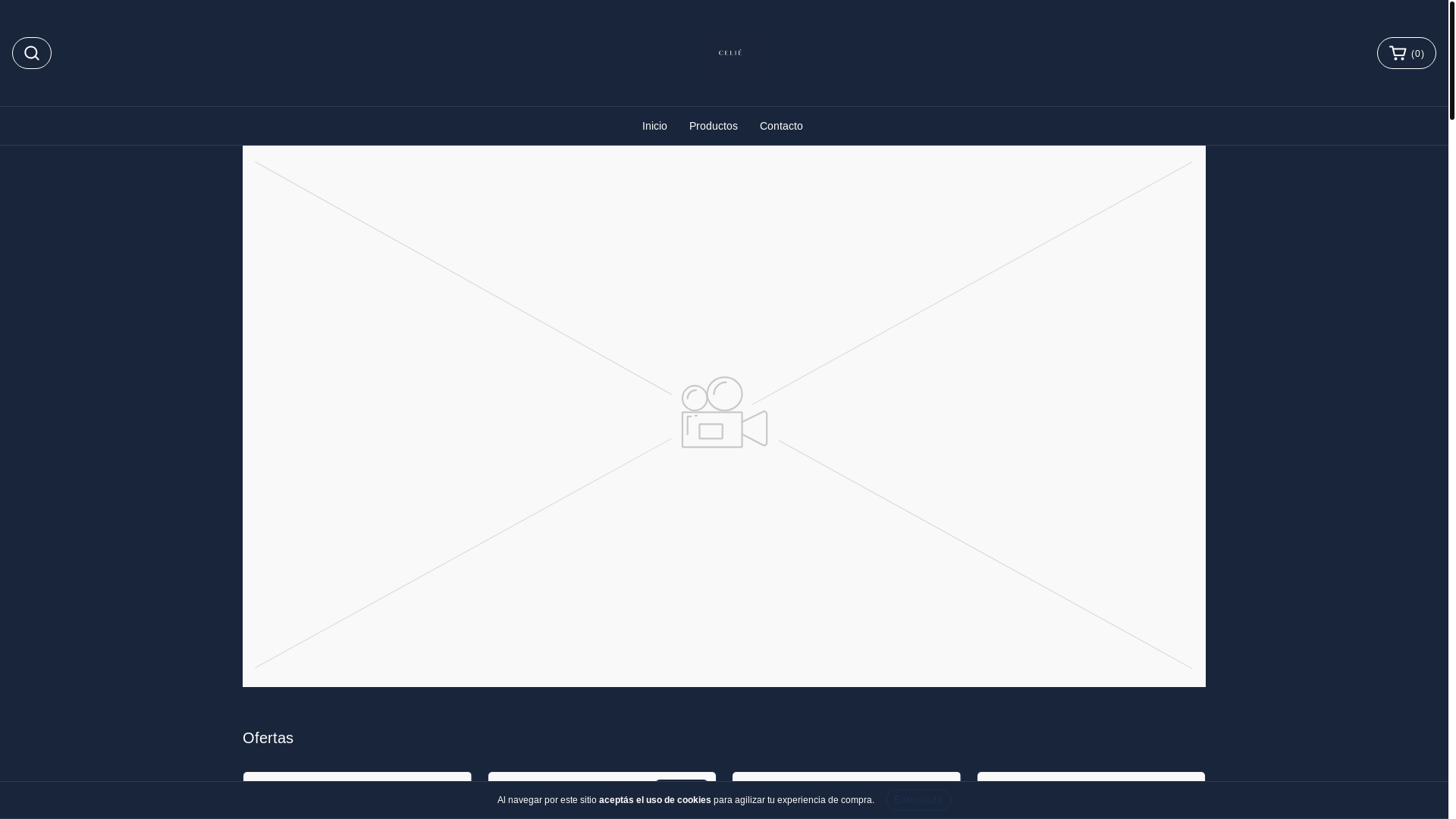 website screenshot of https://celie.com.ar/
