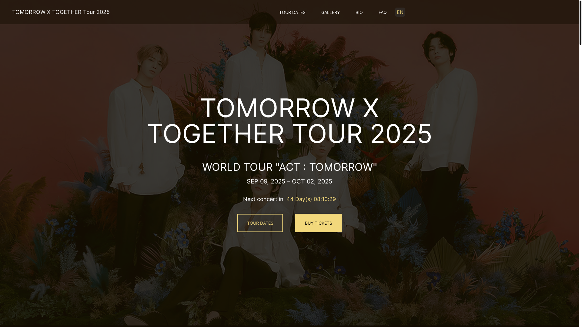 website screenshot of https://txtworldtour-com-github-io.pages.dev/