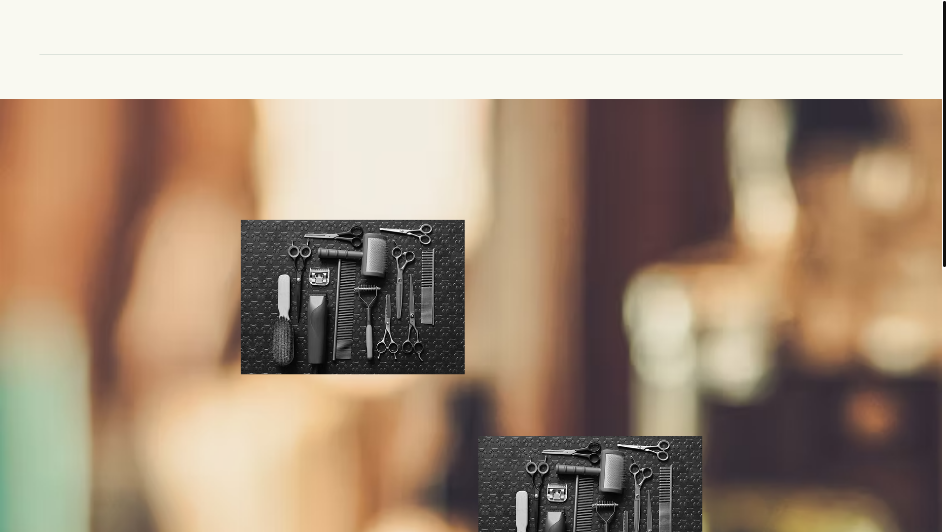 website screenshot of https://misantojitoselparaiso.com/