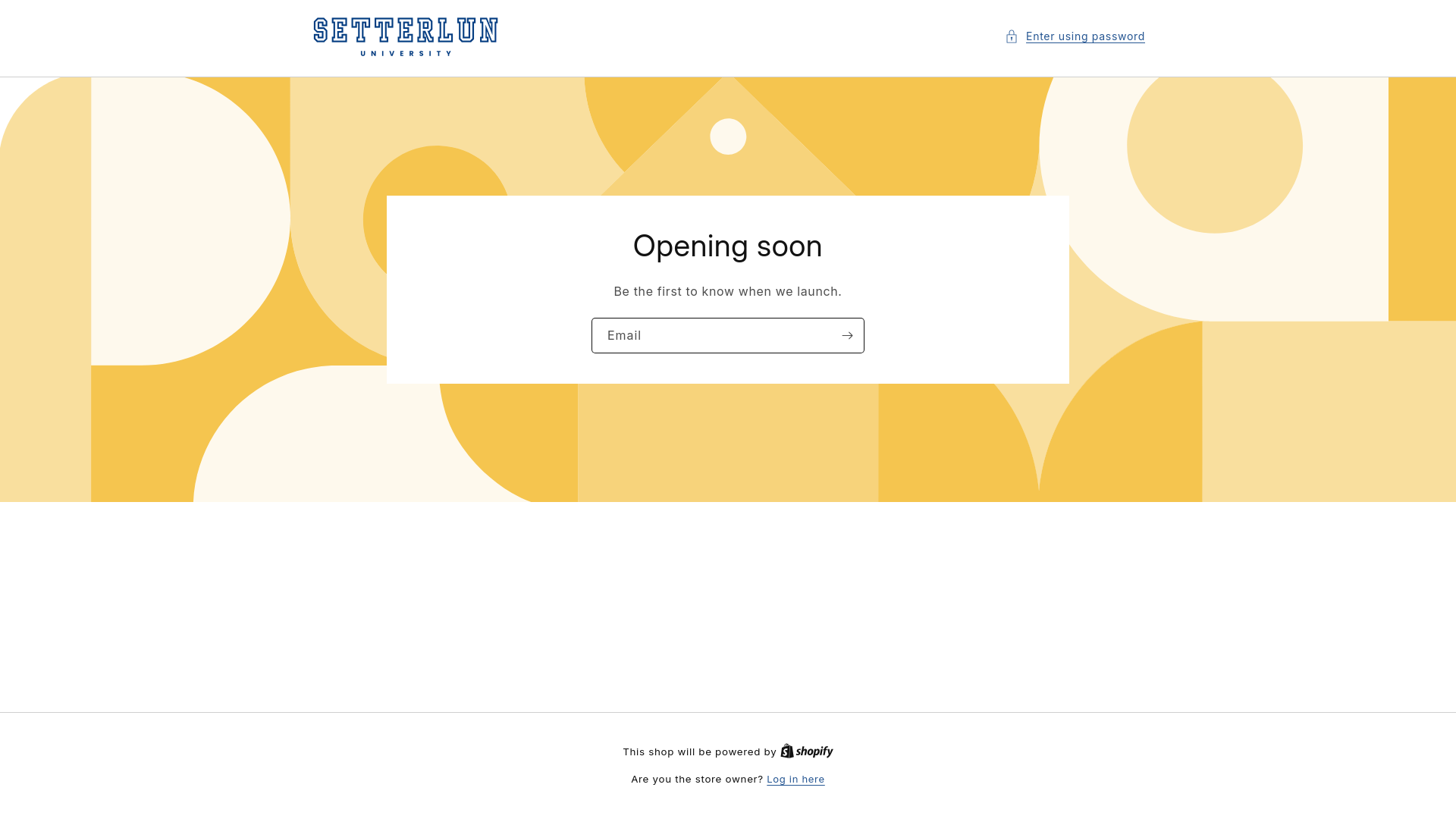 website screenshot of https://setterlun.store/