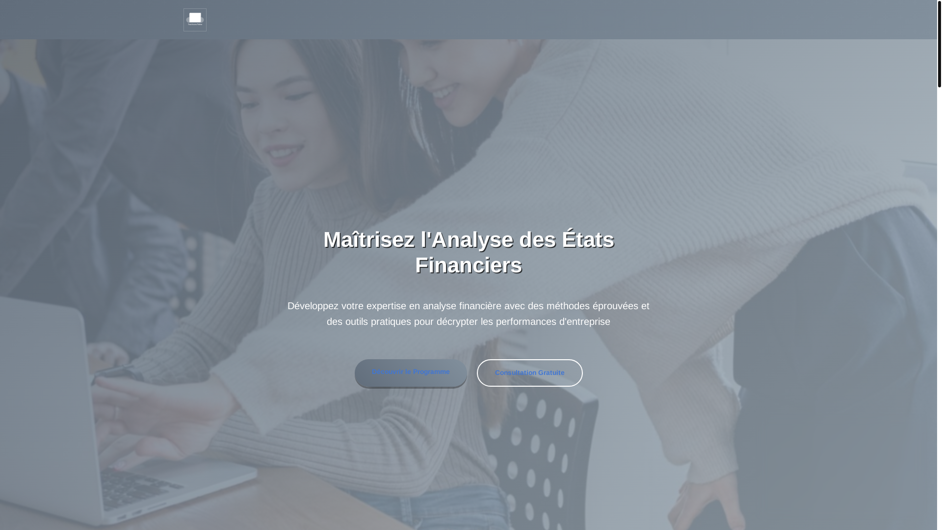 website screenshot of https://queltarisa.com/