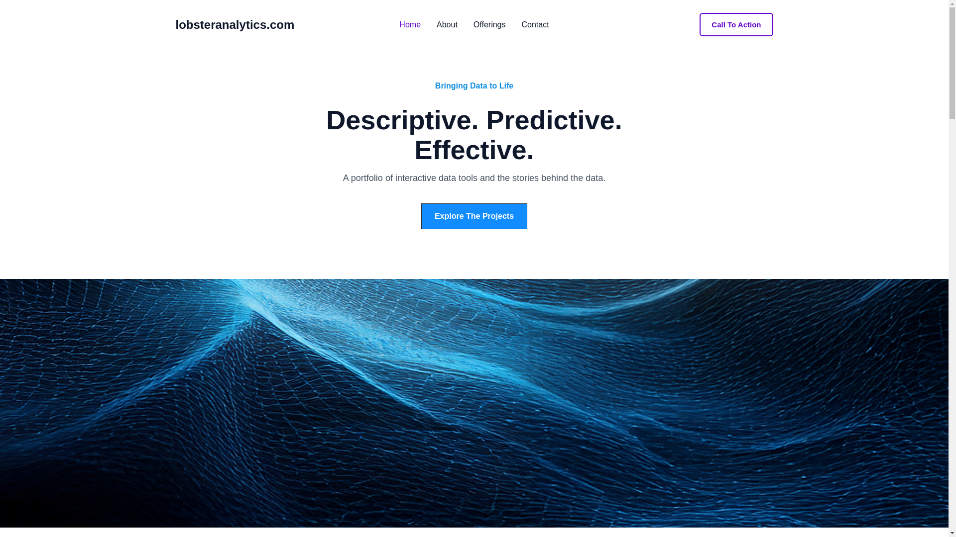 website screenshot of https://lobsteranalytics.com/