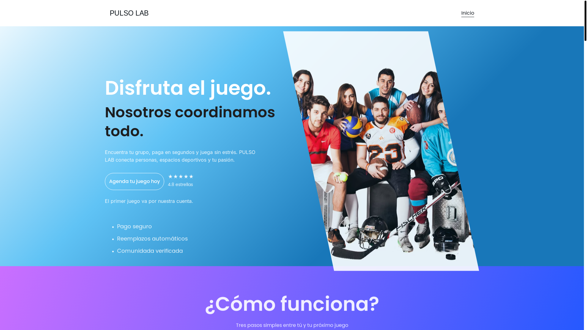 website screenshot of https://pulsolab.online/