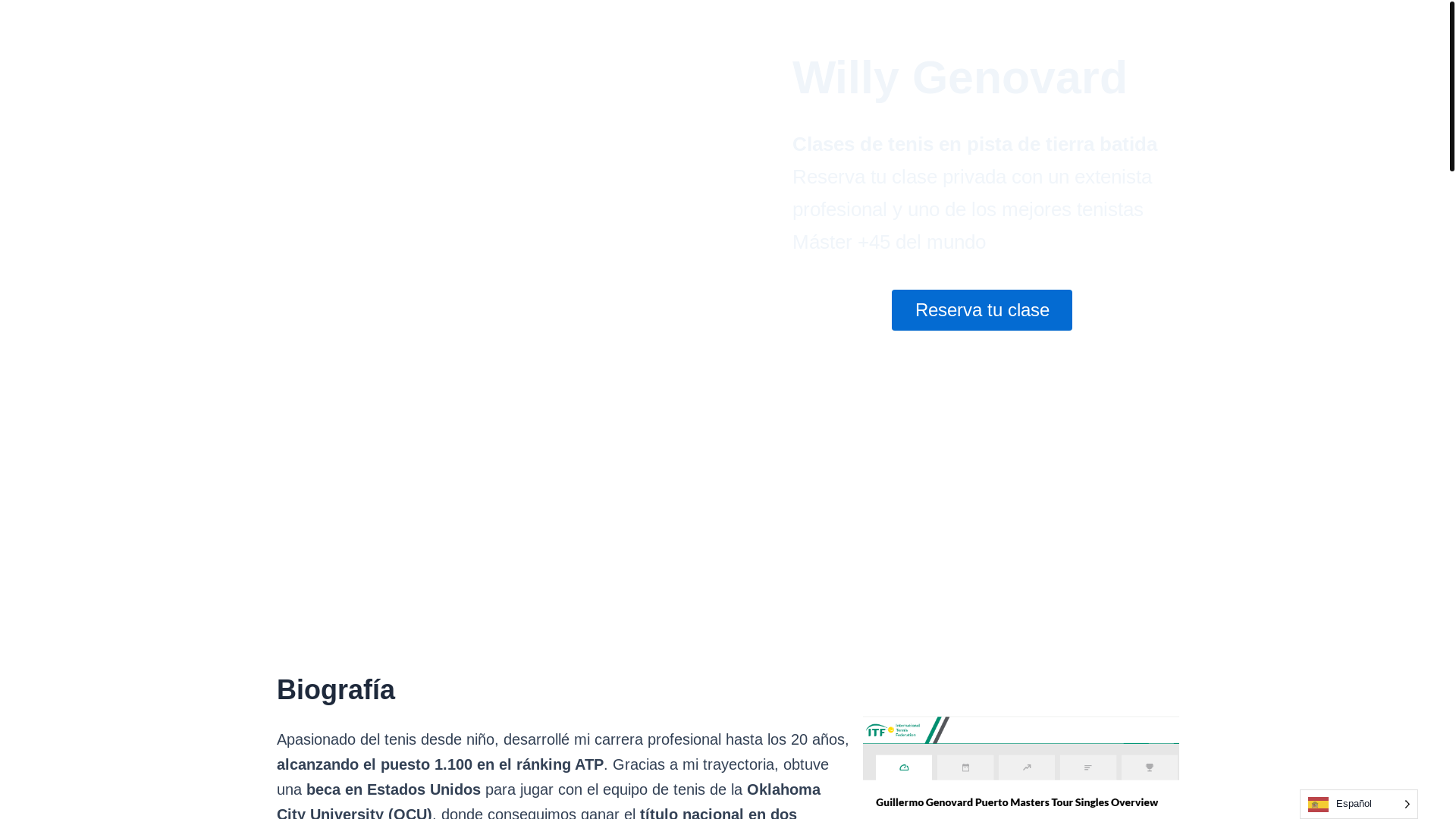 website screenshot of https://willygenovard.es/