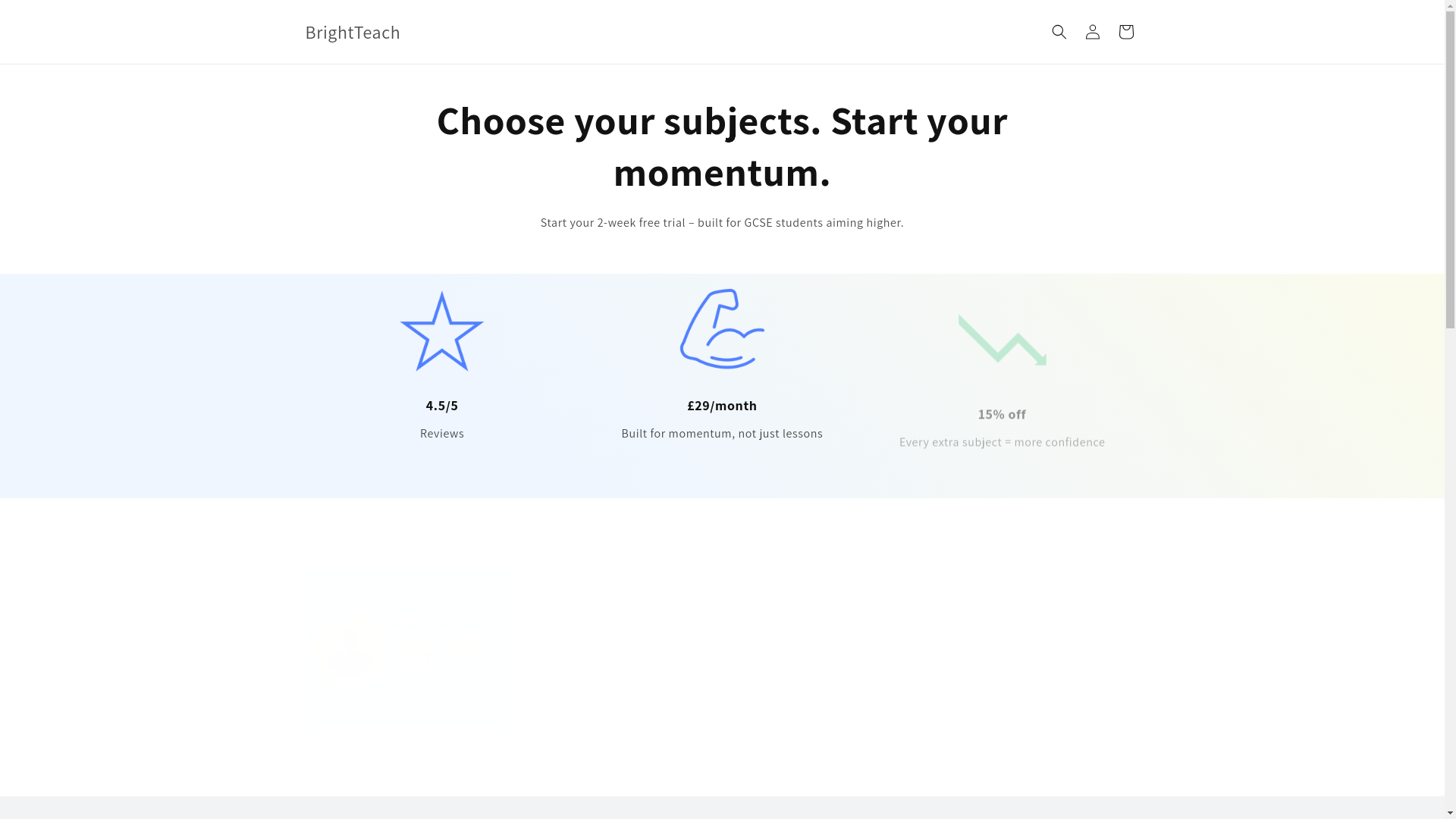 website screenshot of https://brightteachstudy.com/