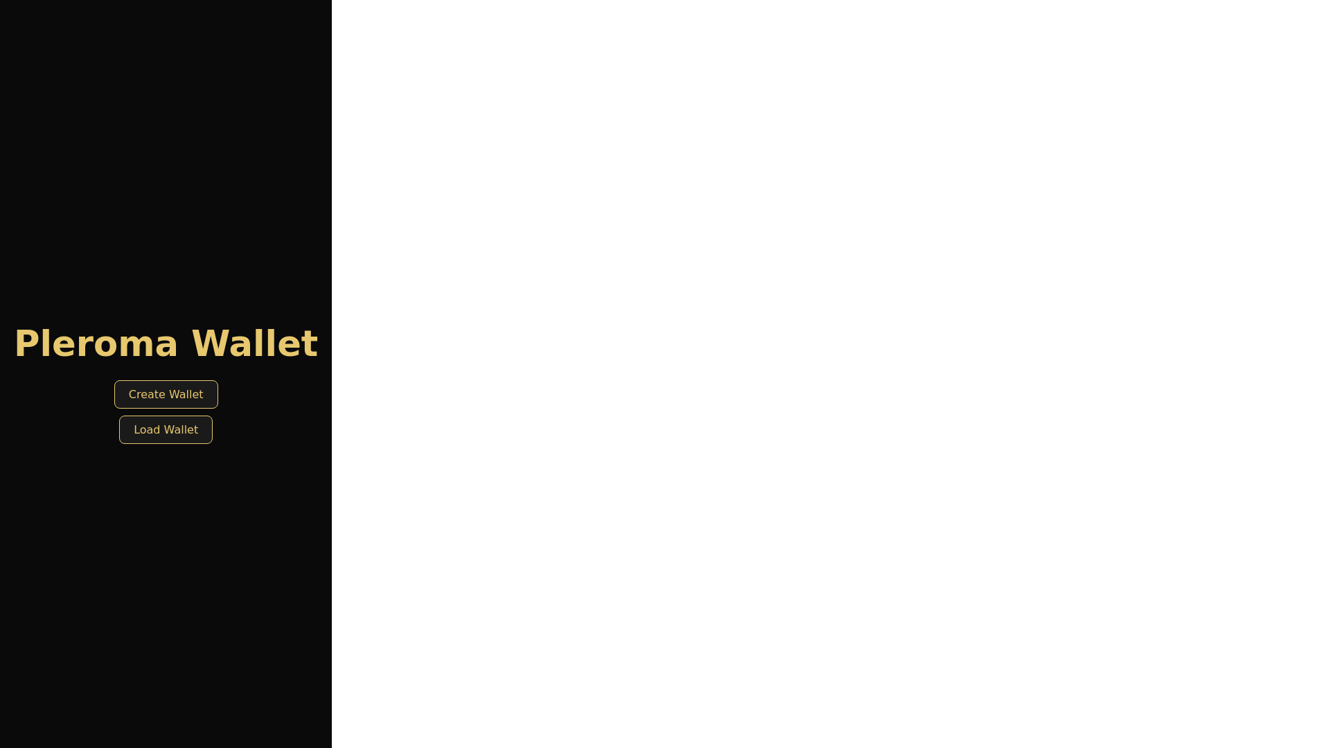 website screenshot of https://pleromacoin.org/