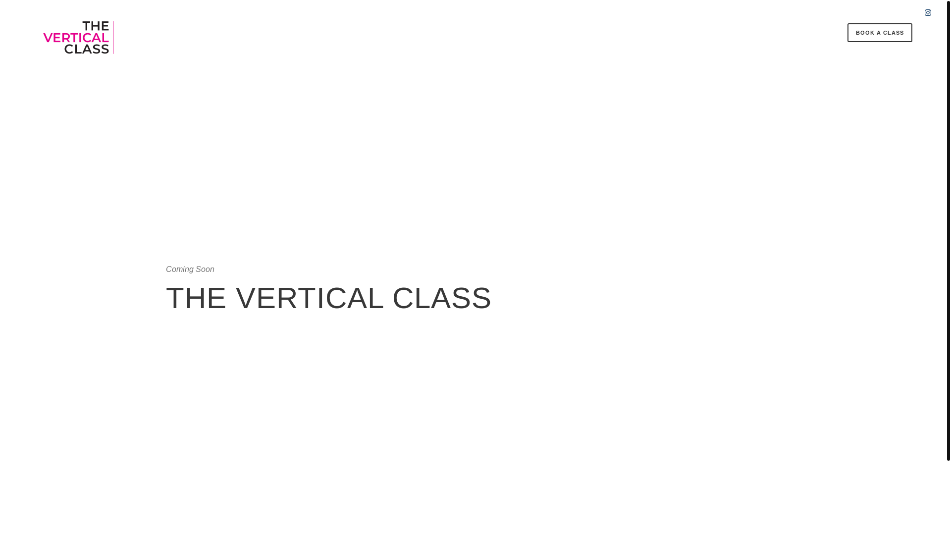 website screenshot of https://theverticalclass.com/
