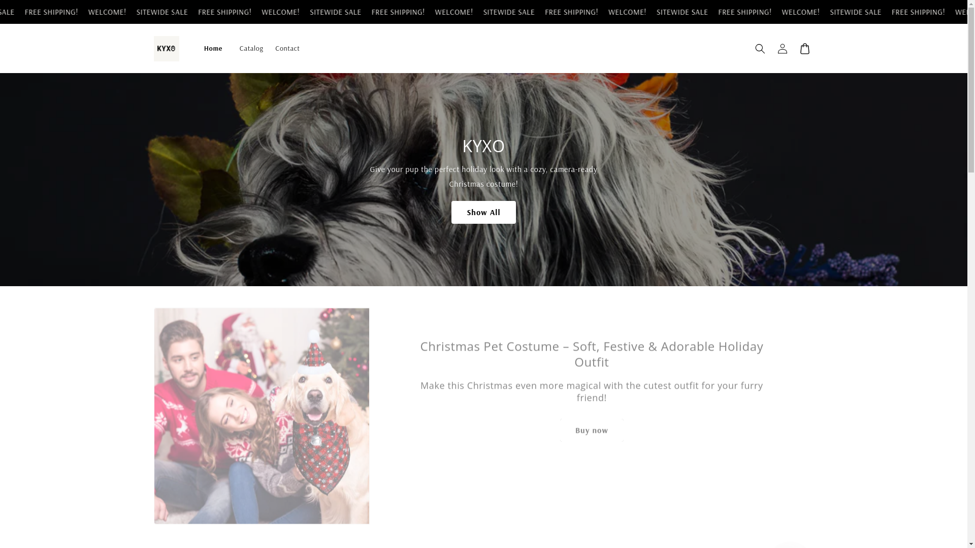 website screenshot of https://accountskyxo.store/