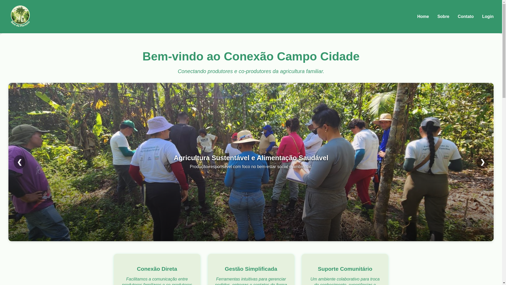 website screenshot of https://conexaoalimentonatureza.com.br/