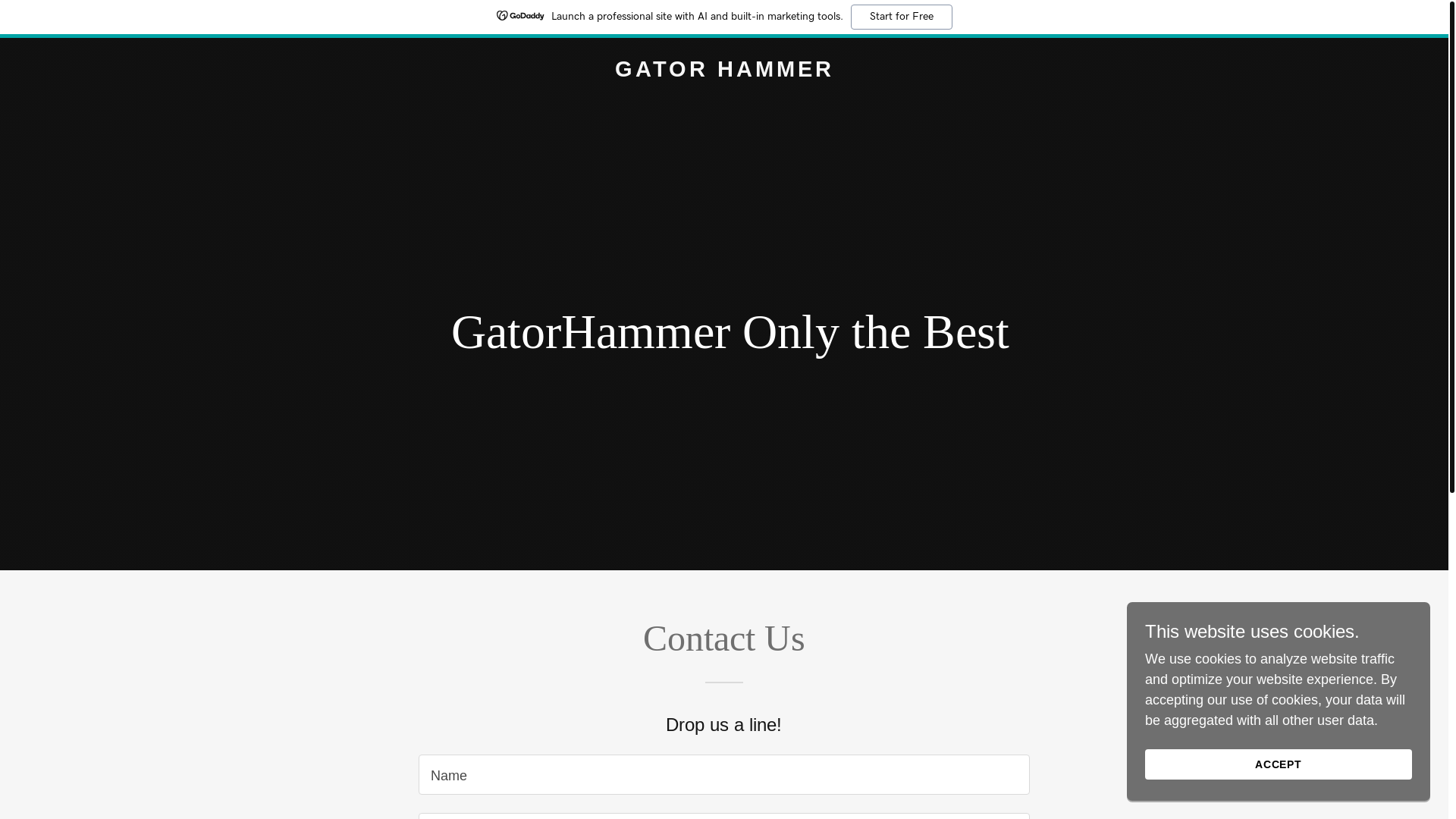 website screenshot of https://gatorhammer.info/
