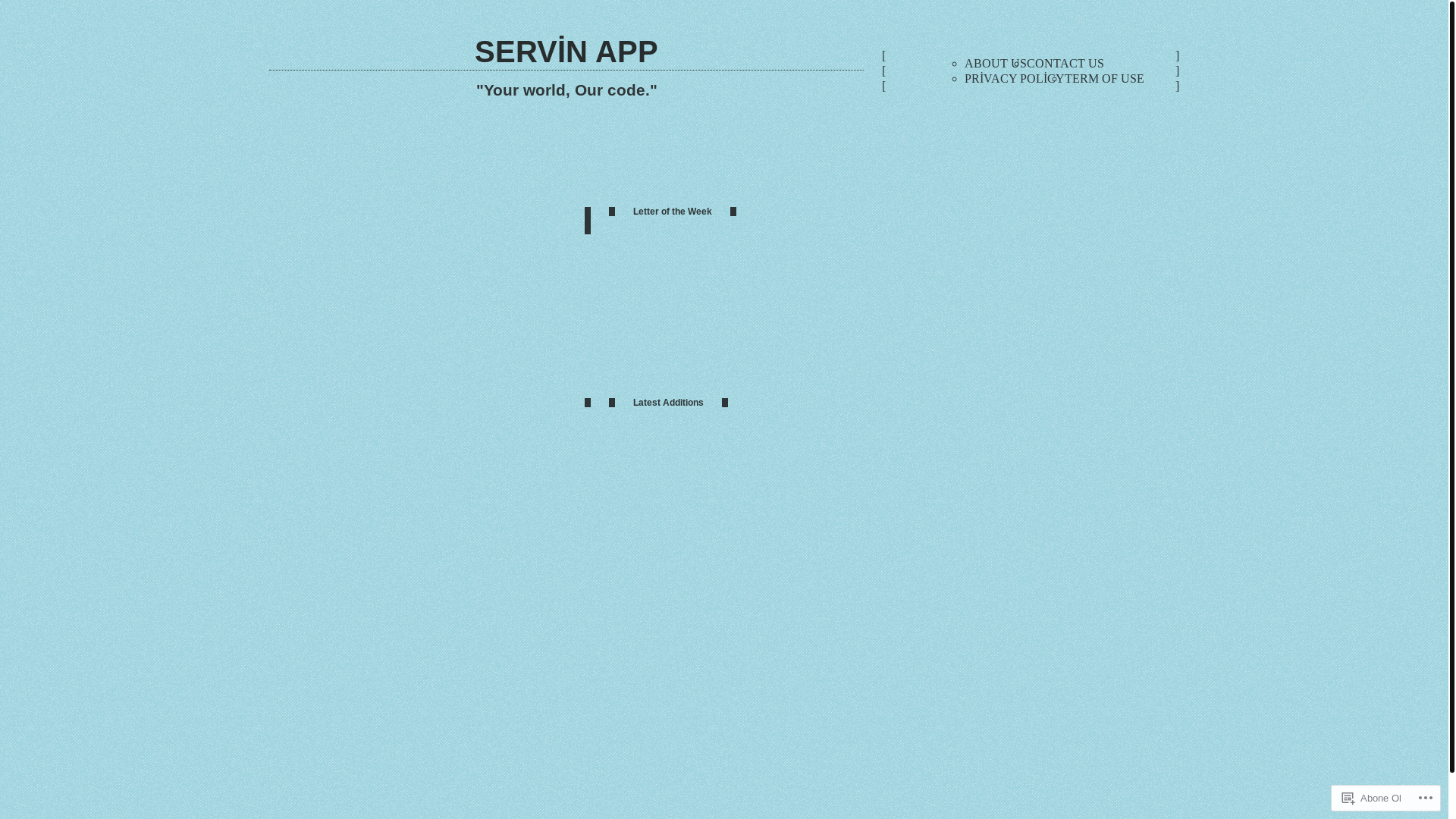 website screenshot of https://servinbayat.com/